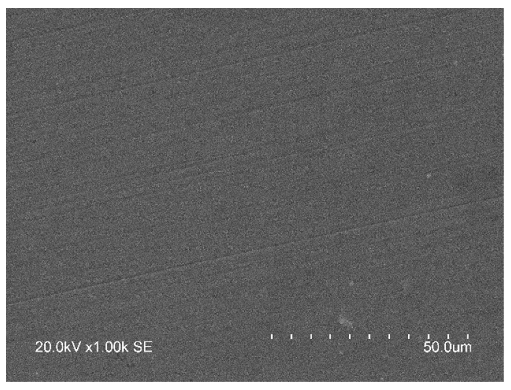 Coatings 11 01260 g005