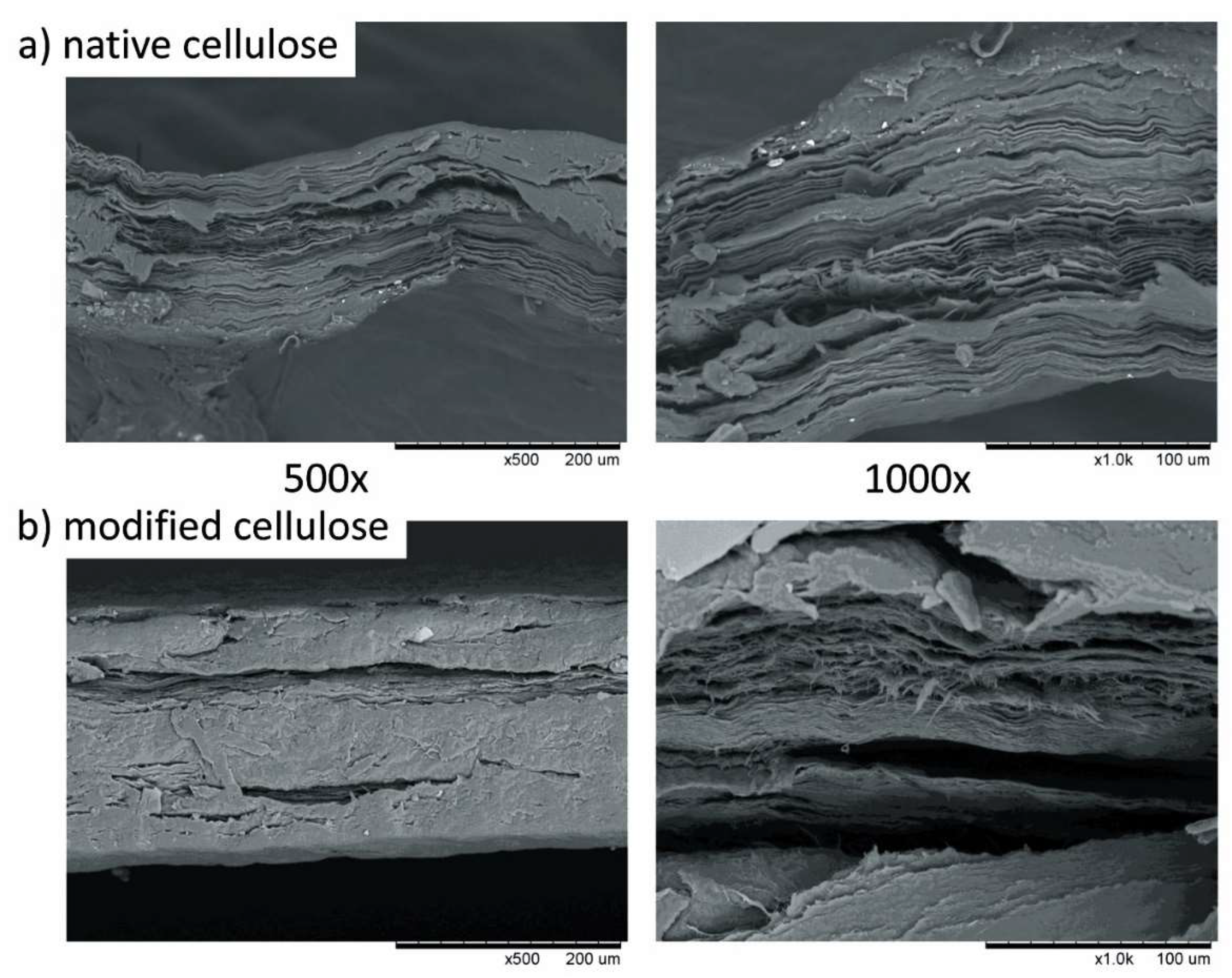 Coatings 11 01275 g002
