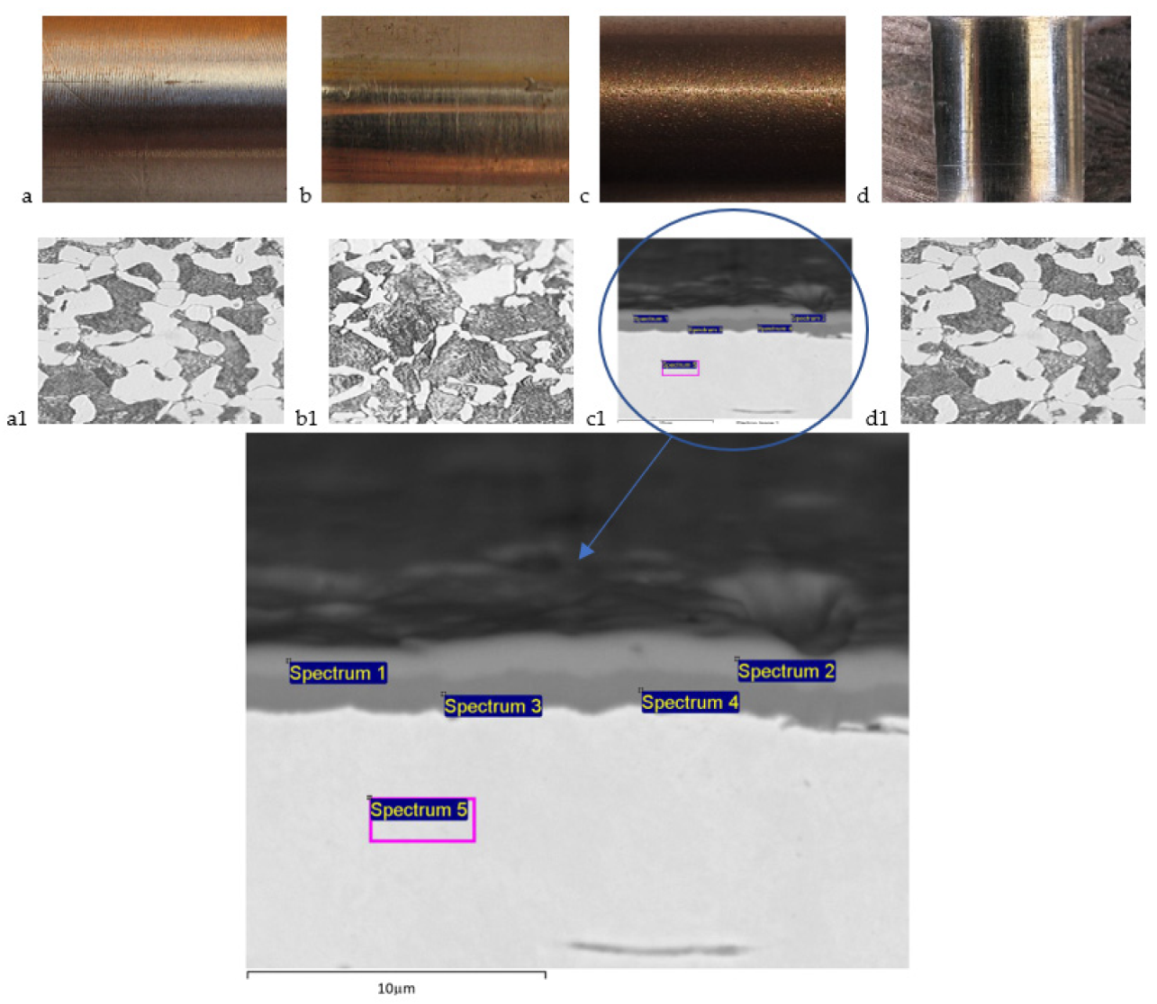 Coatings 11 01305 g002