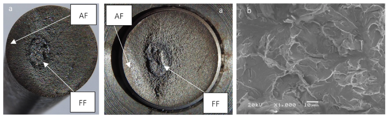 Coatings 11 01305 g005