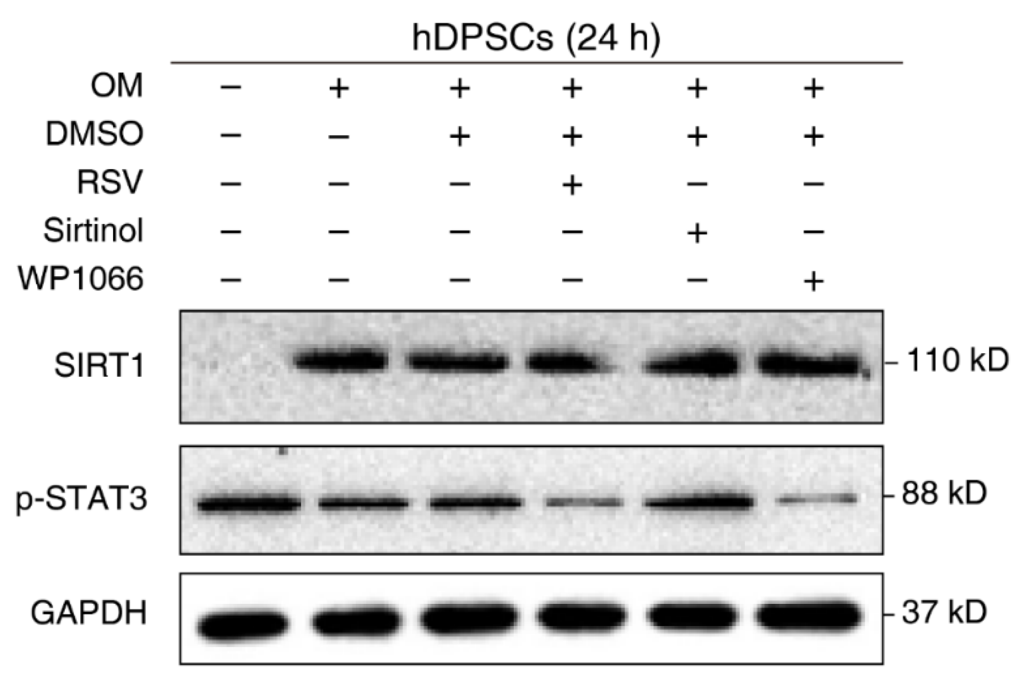 Coatings 11 01353 g003