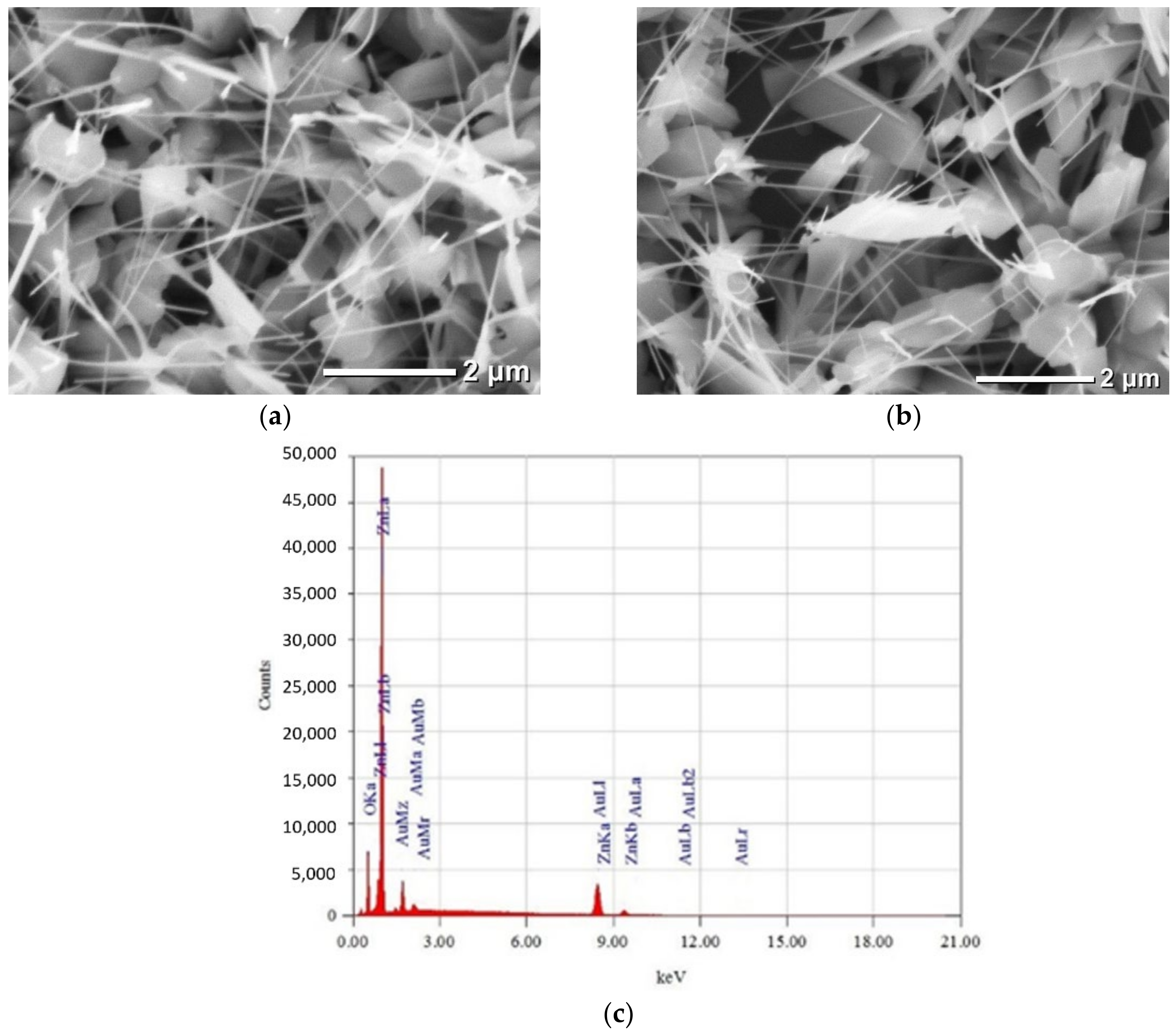 Coatings 11 01369 g002