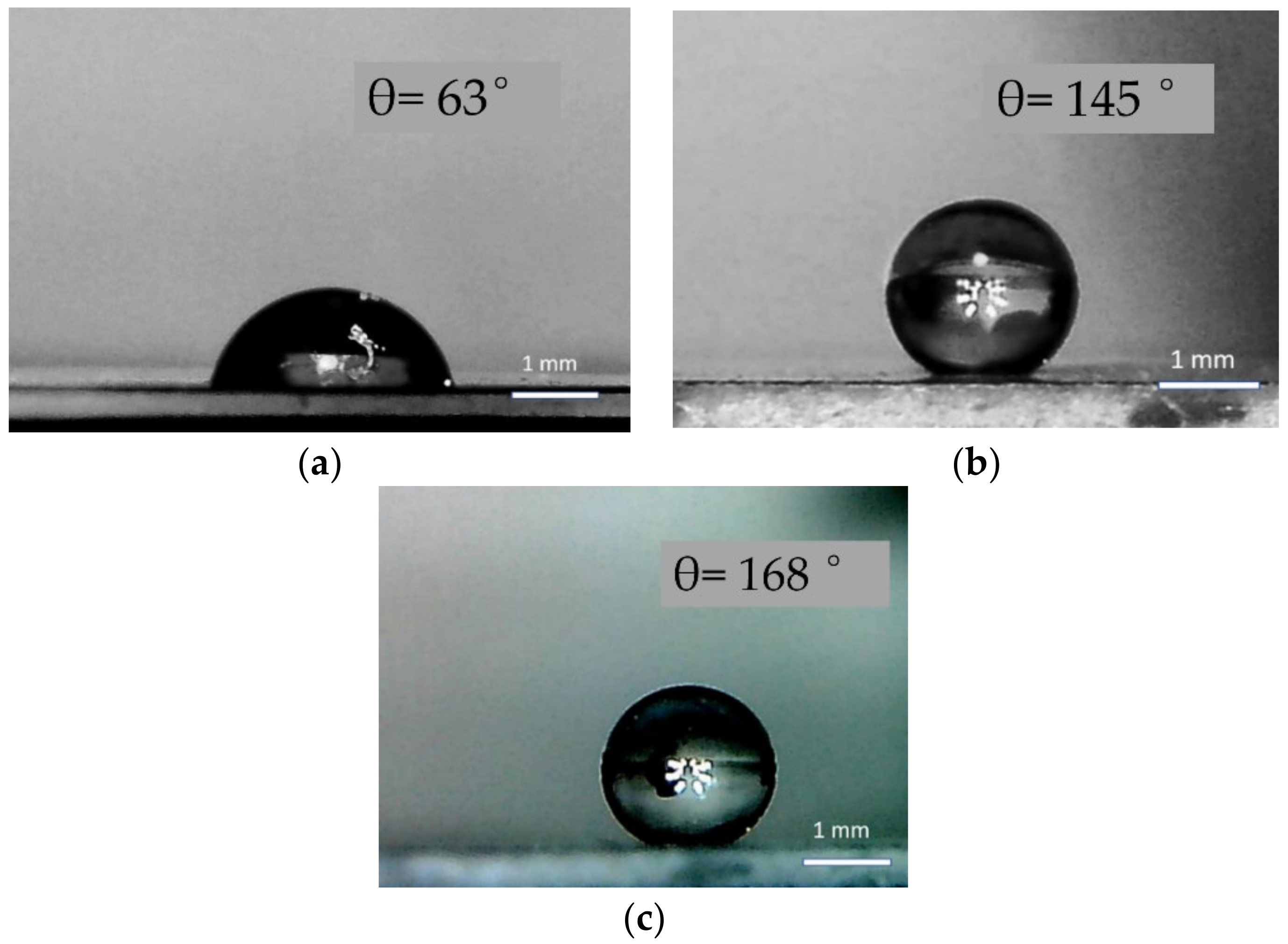 Coatings 11 01369 g003