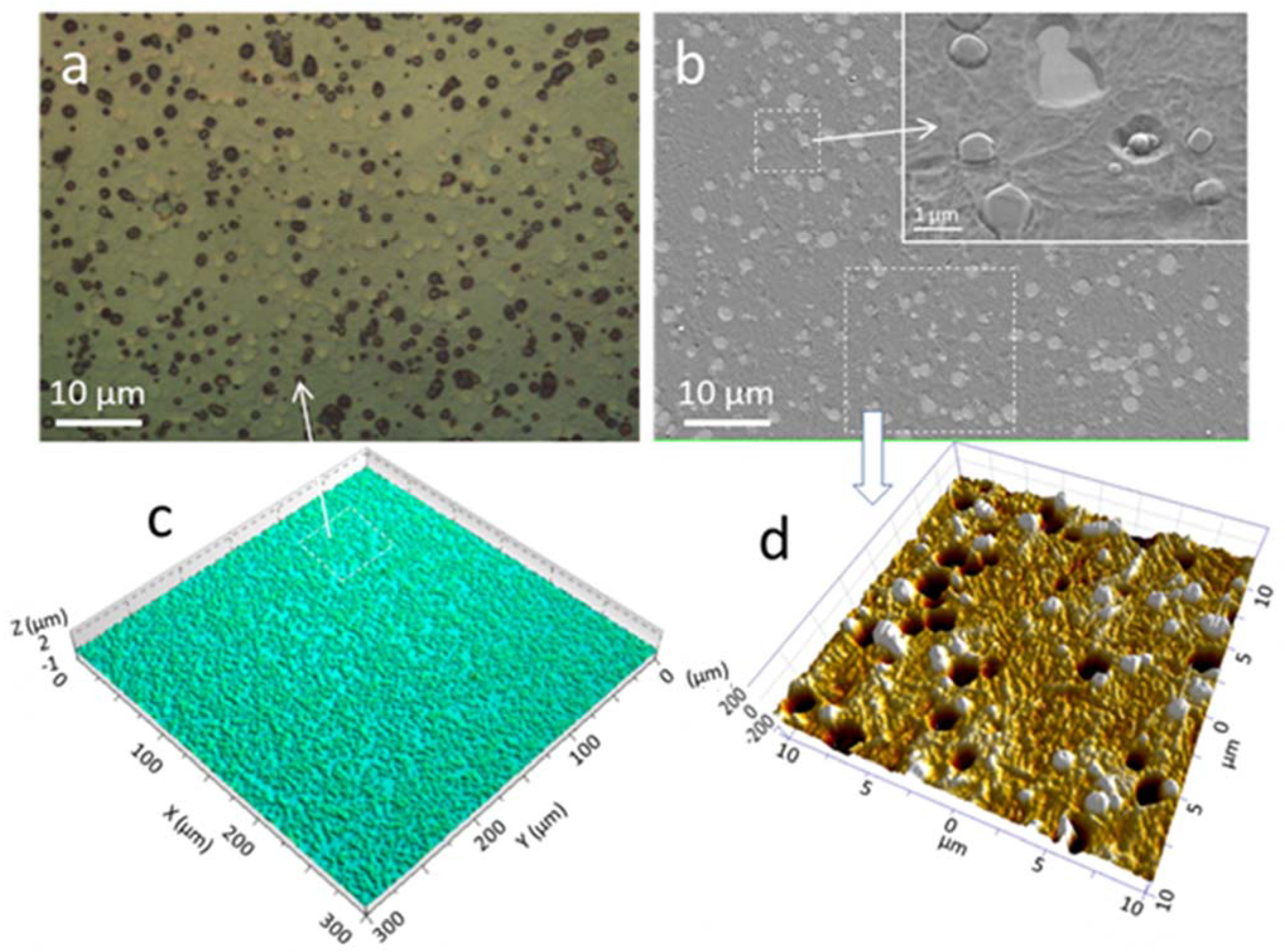 Coatings 11 01387 g008