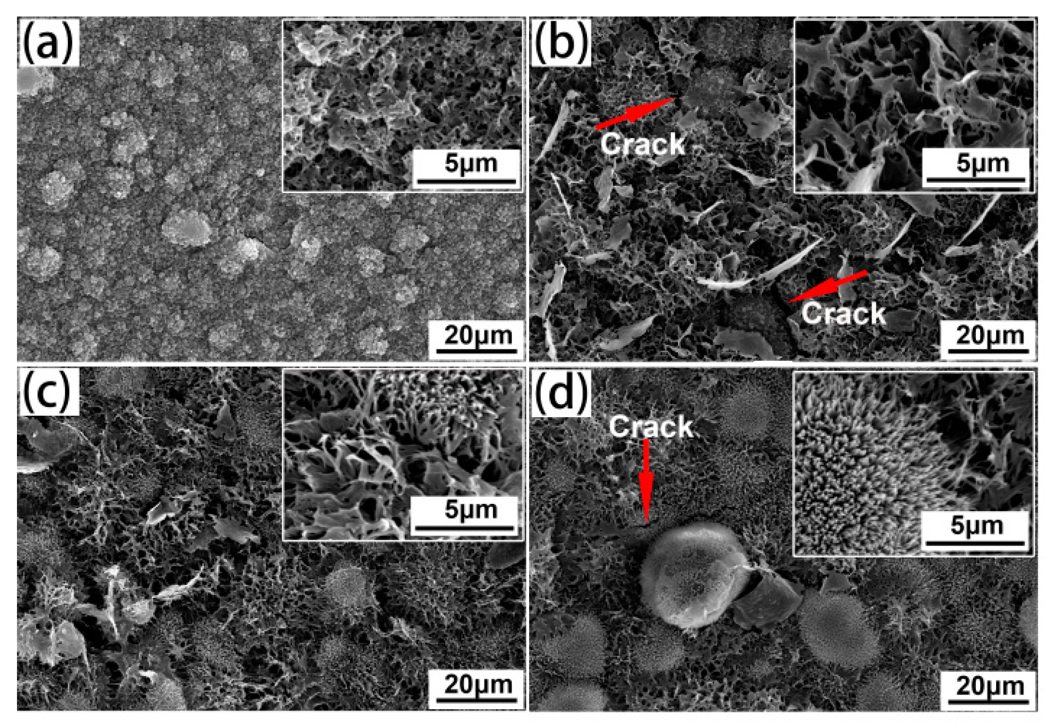 Coatings 11 01399 g003