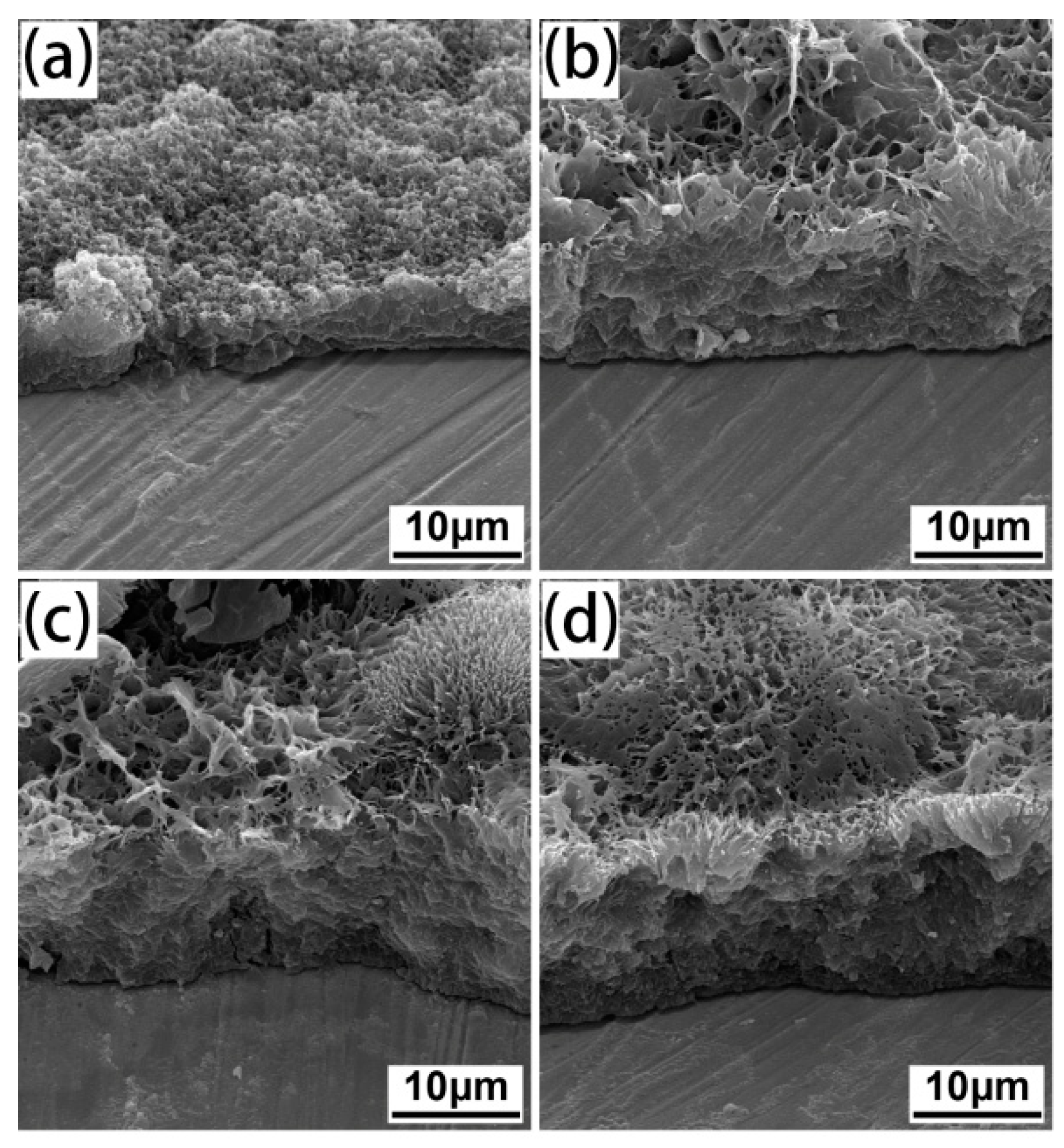 Coatings 11 01399 g004
