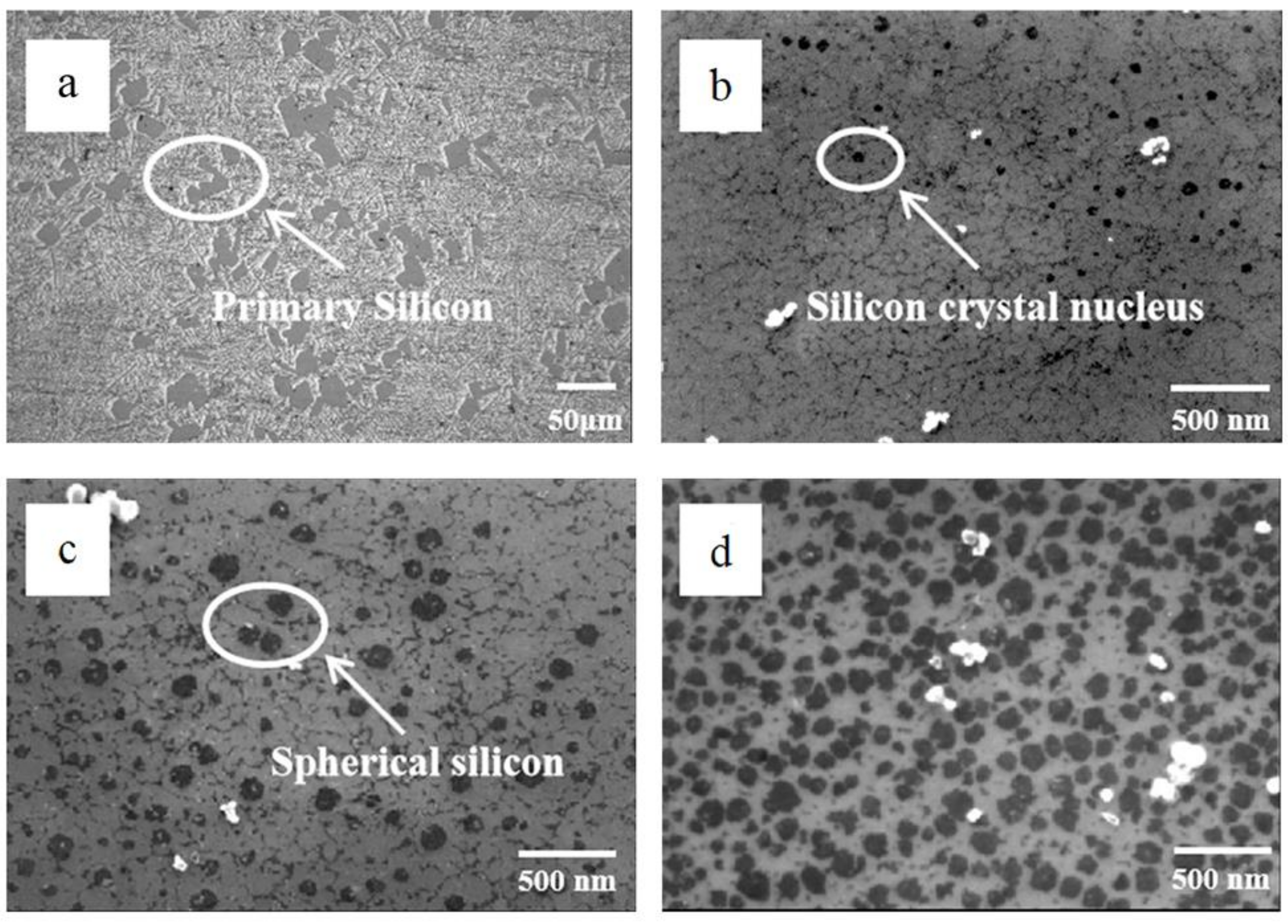 Coatings 11 01408 g002