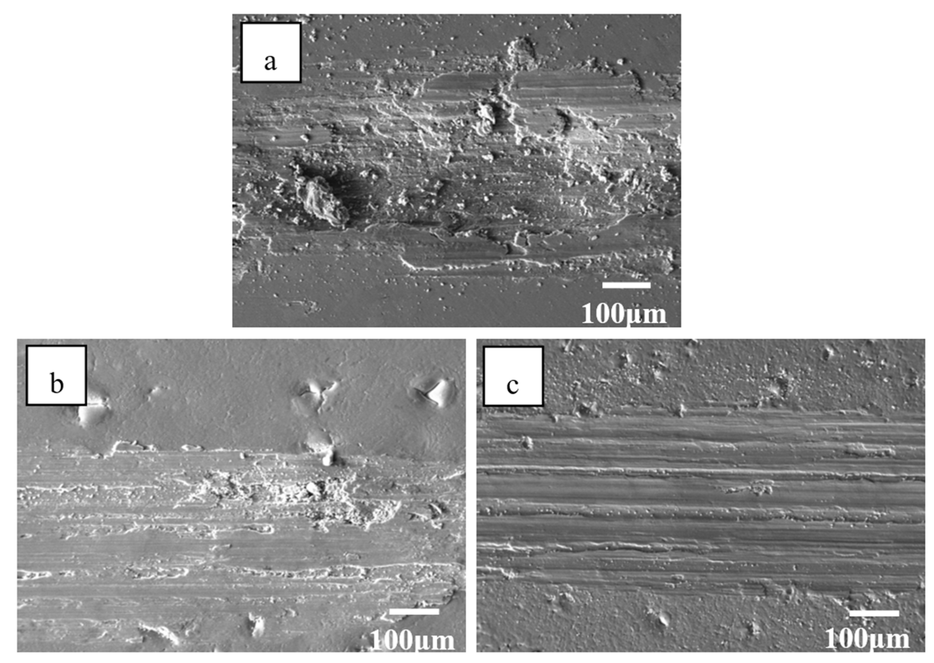 Coatings 11 01408 g007