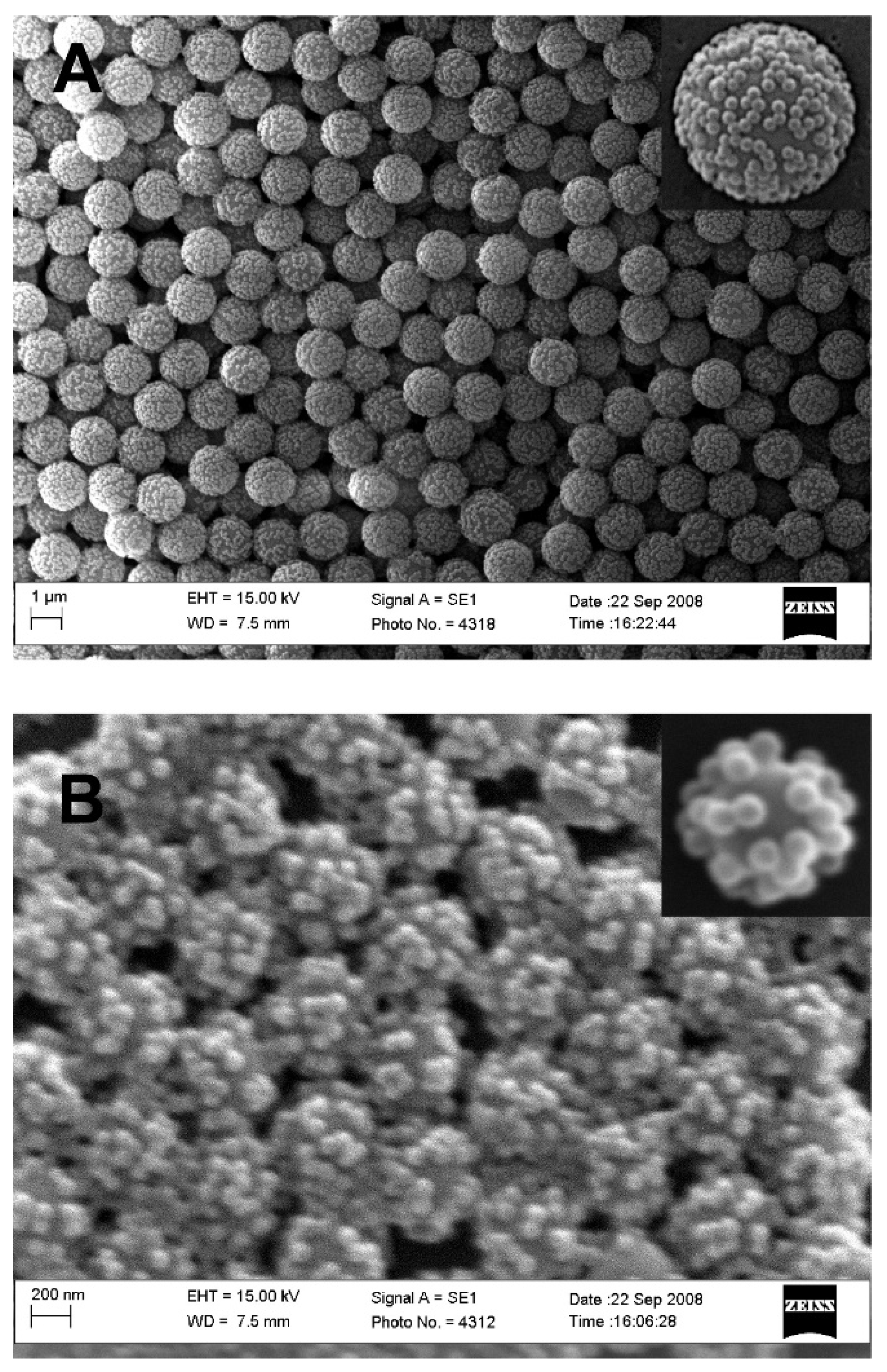 Coatings 11 01440 g005