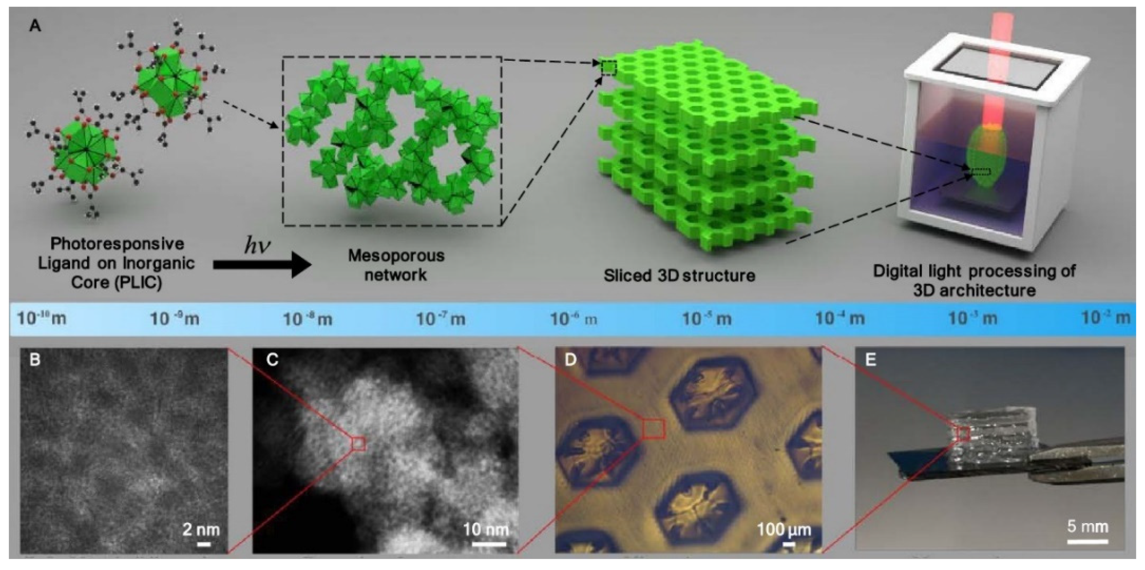 Coatings 11 01440 g006
