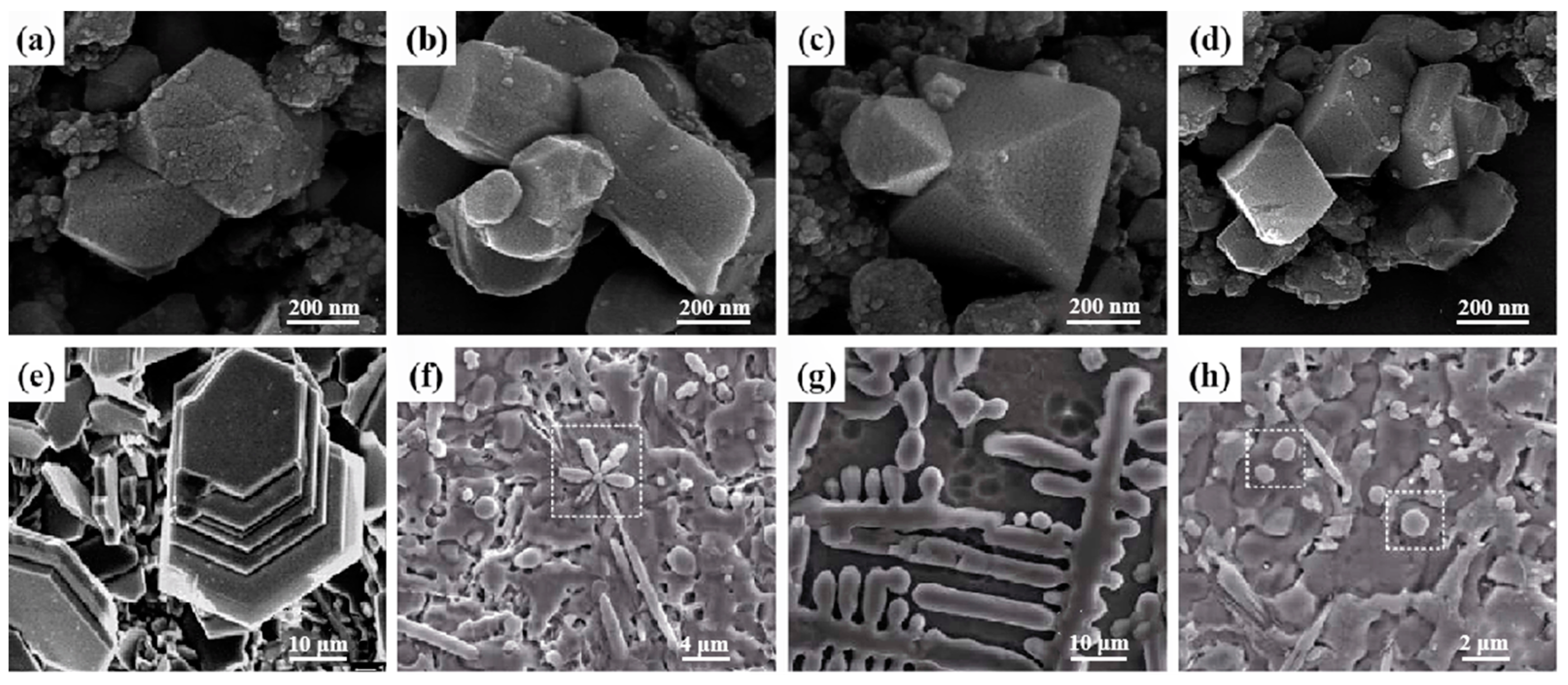 Coatings 11 01444 g003