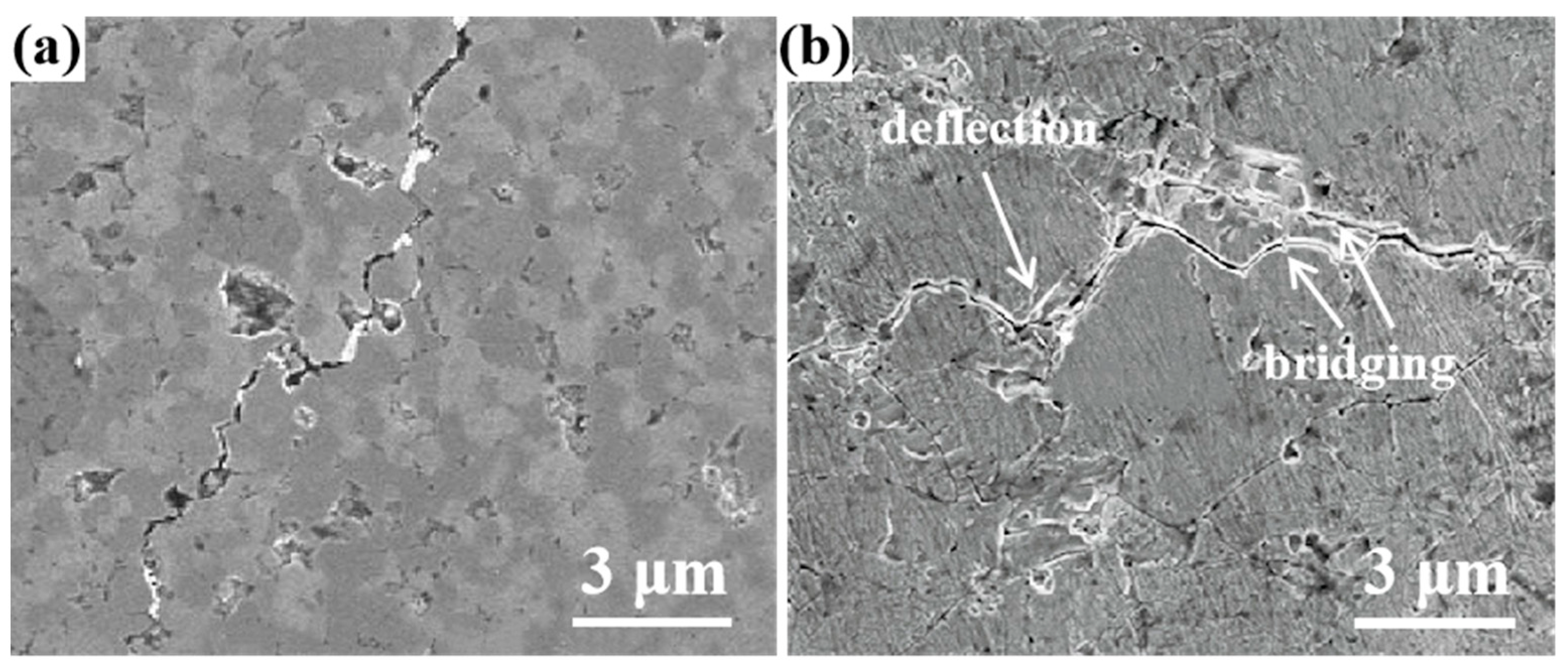 Coatings 11 01444 g006