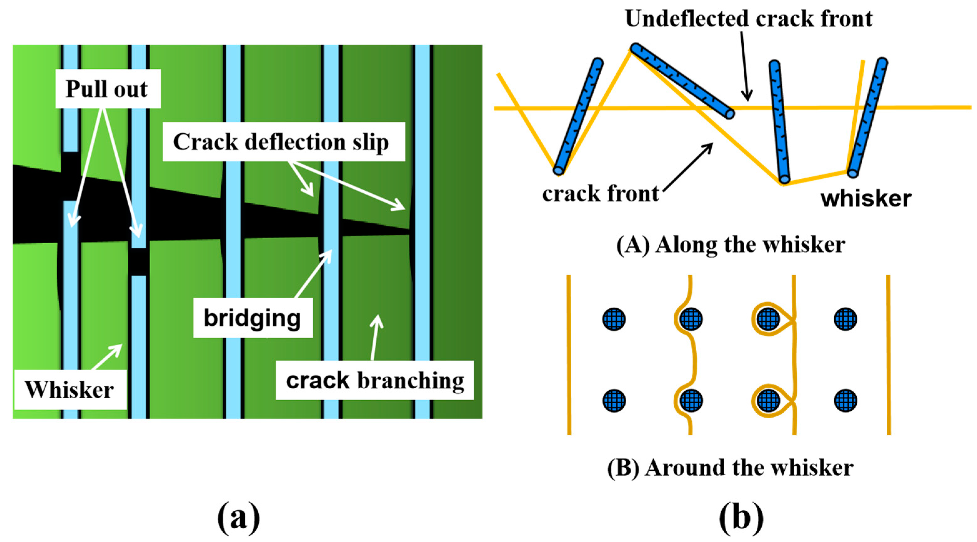 Coatings 11 01444 g010