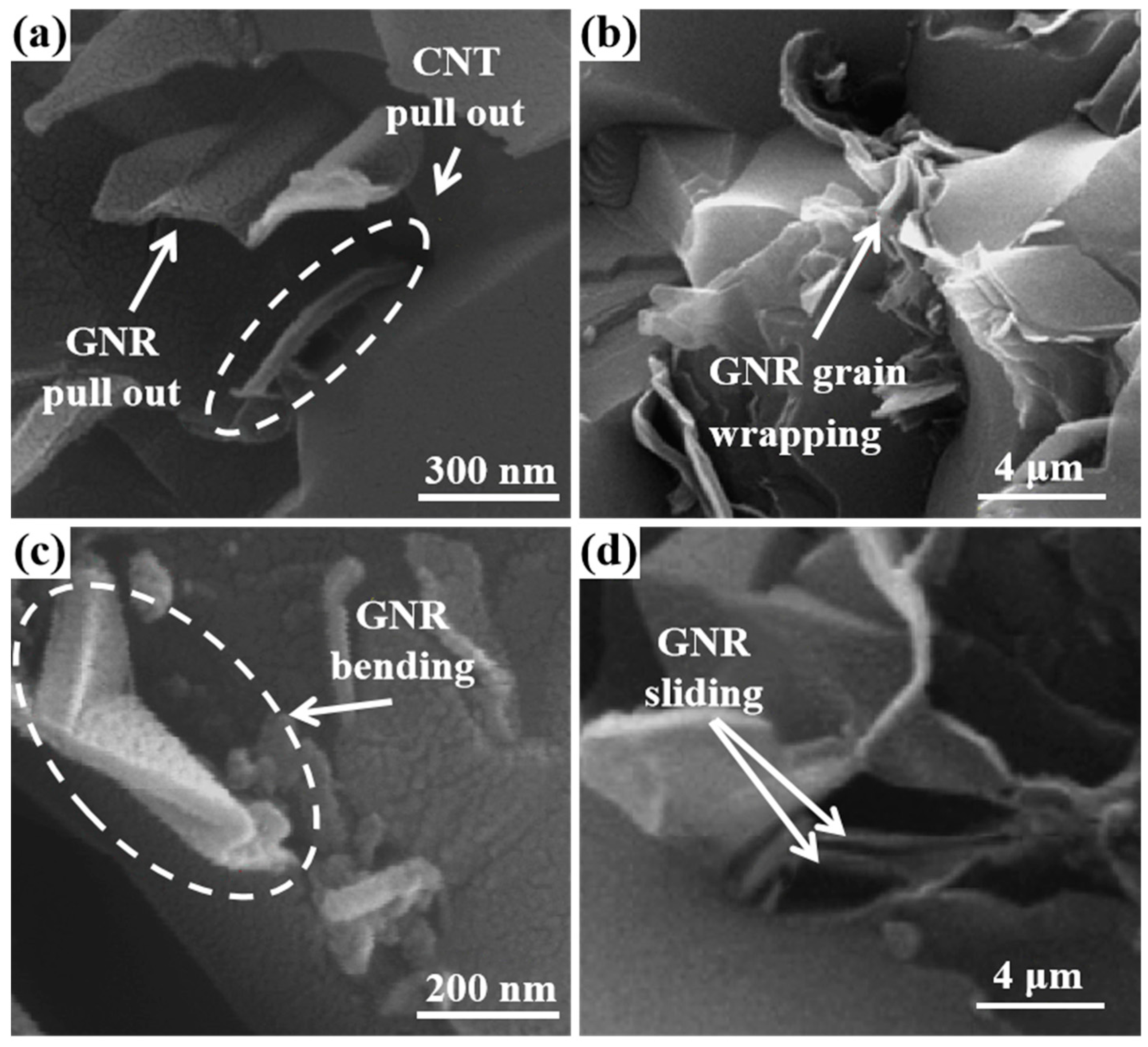 Coatings 11 01444 g011