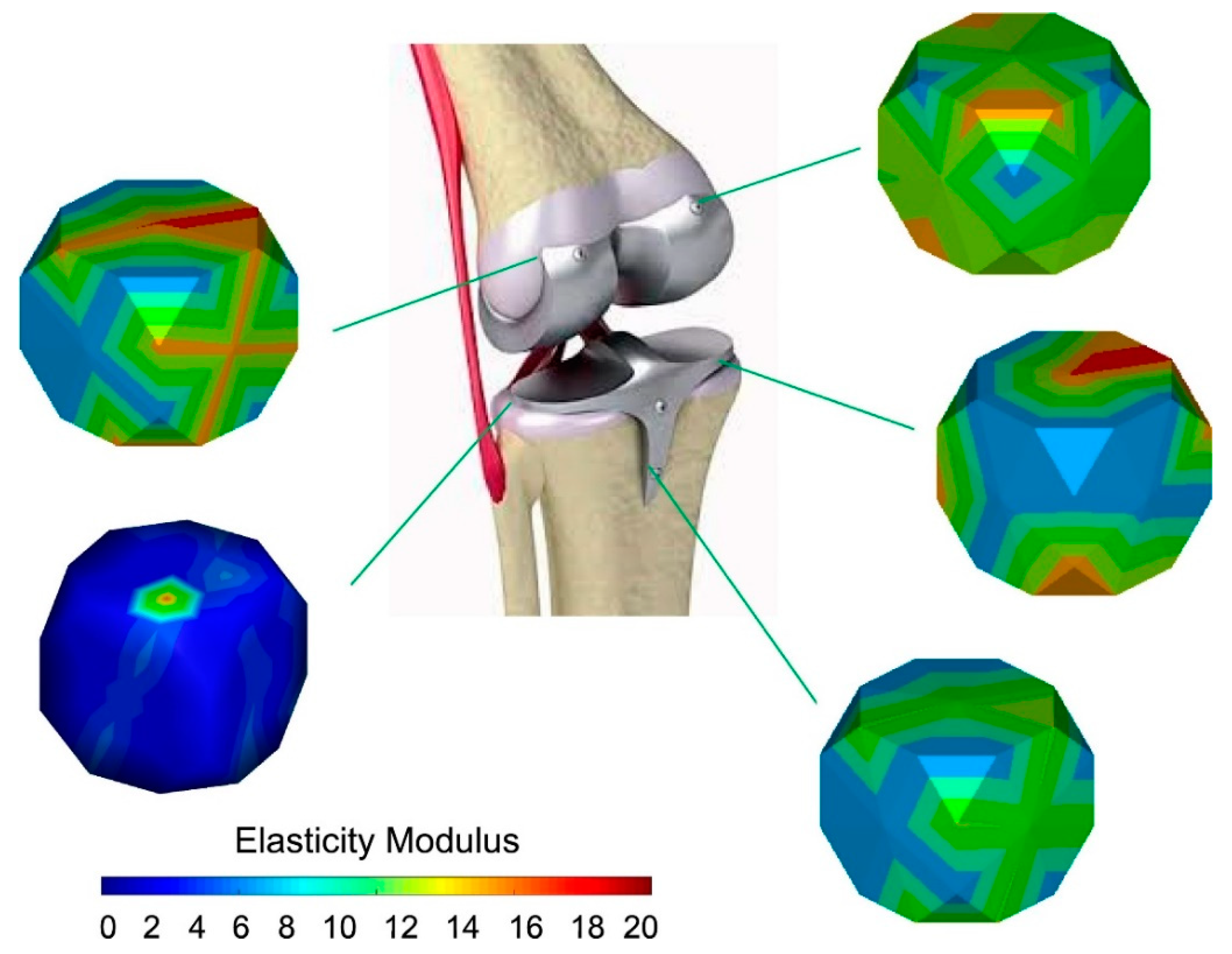 Coatings 11 01446 g001