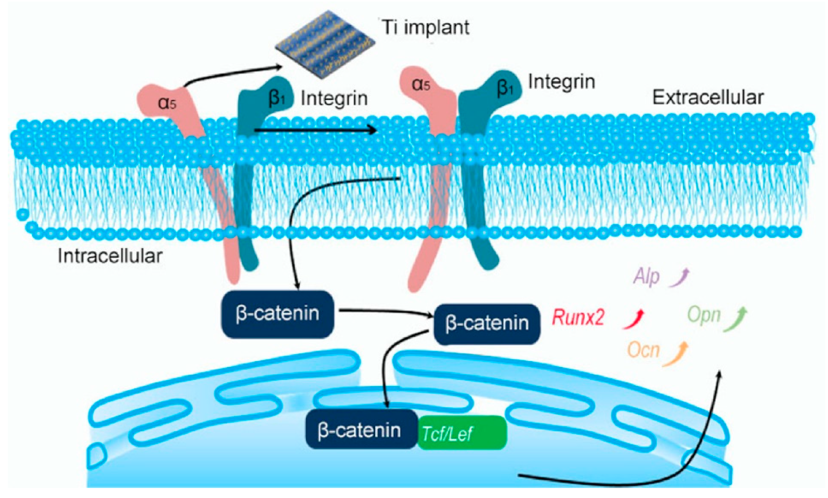 Coatings 11 01446 g007