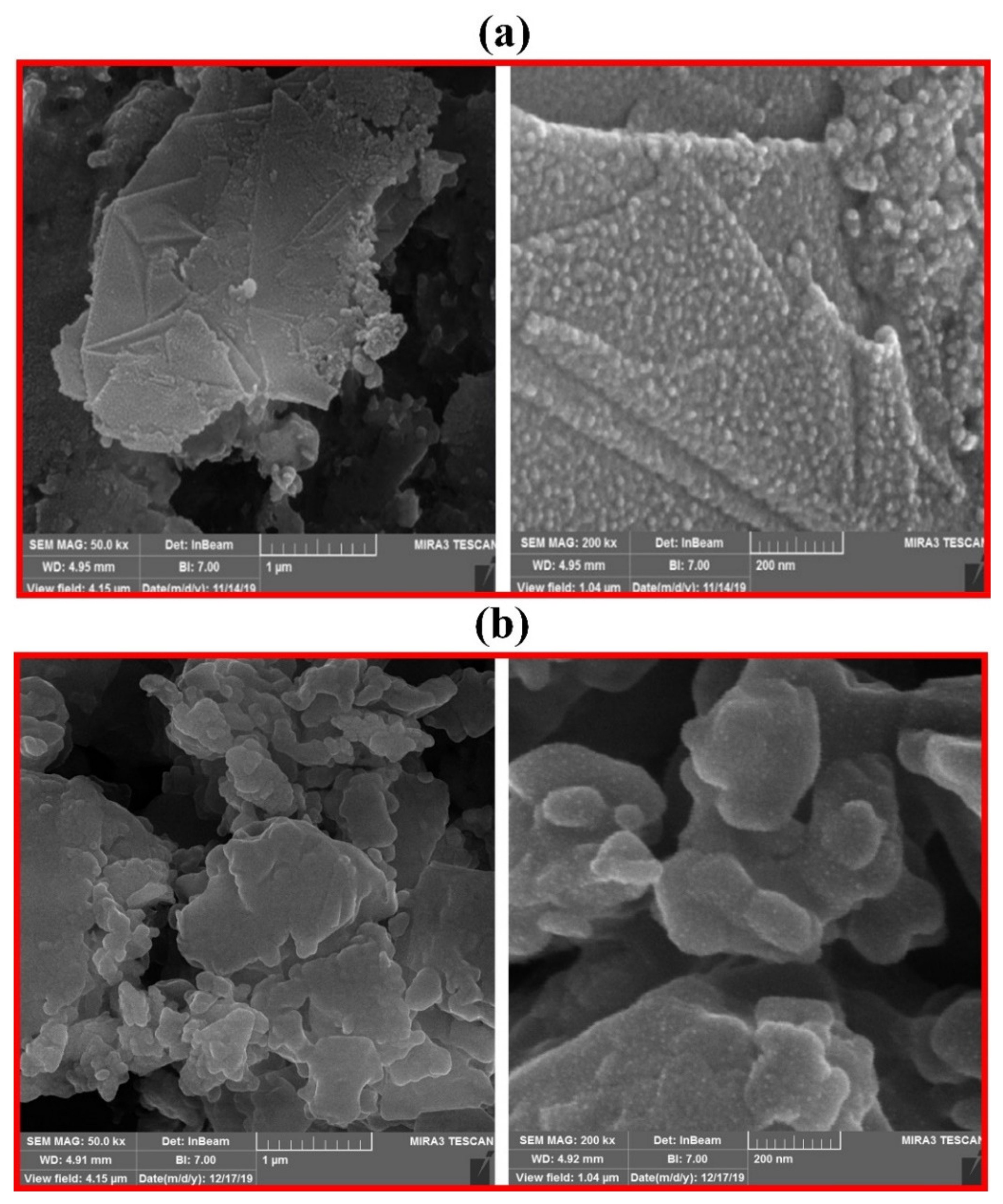 Coatings 11 01452 g003 Coatings 11 01452 g003