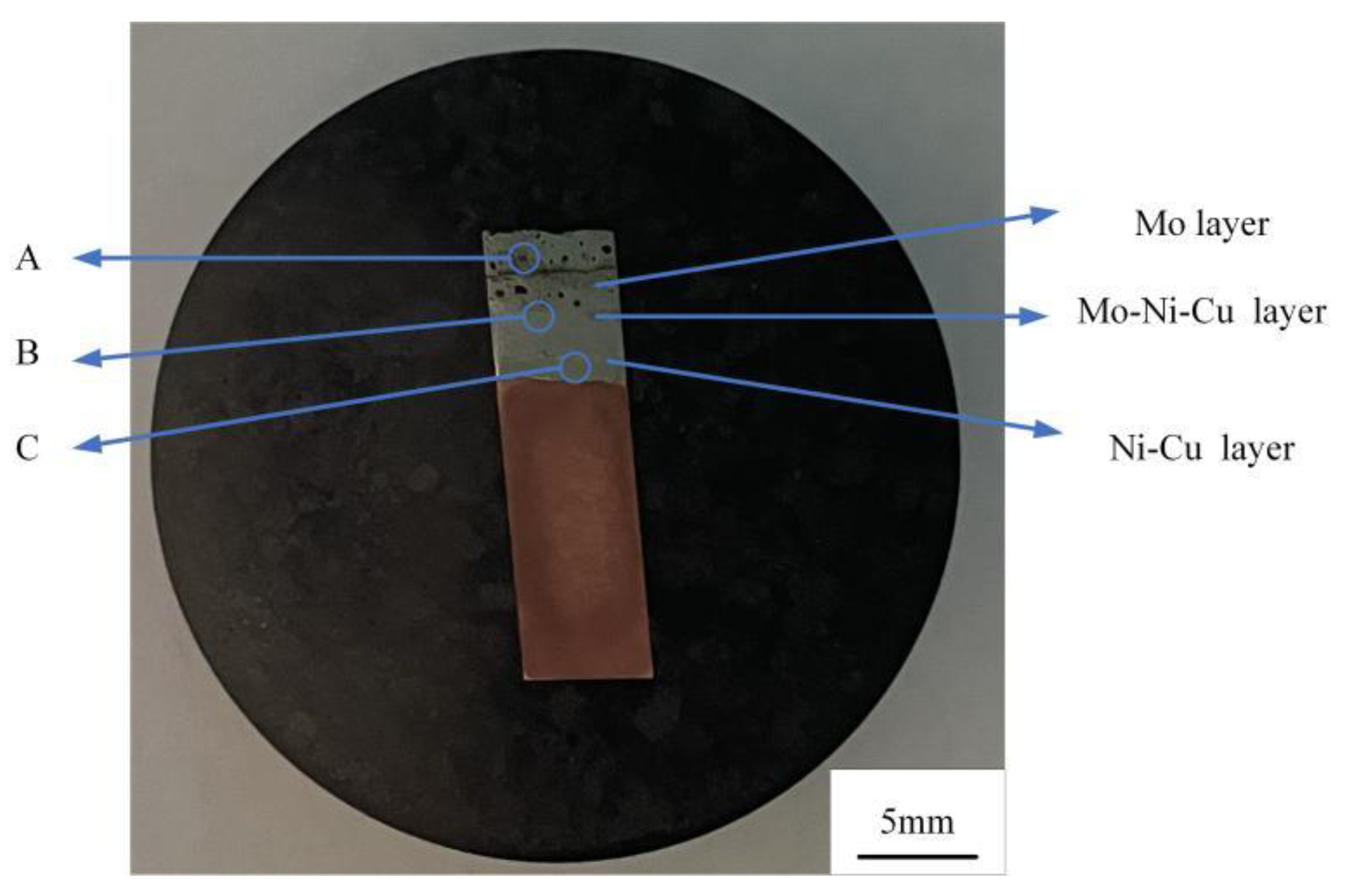 Coatings 11 01460 g004
