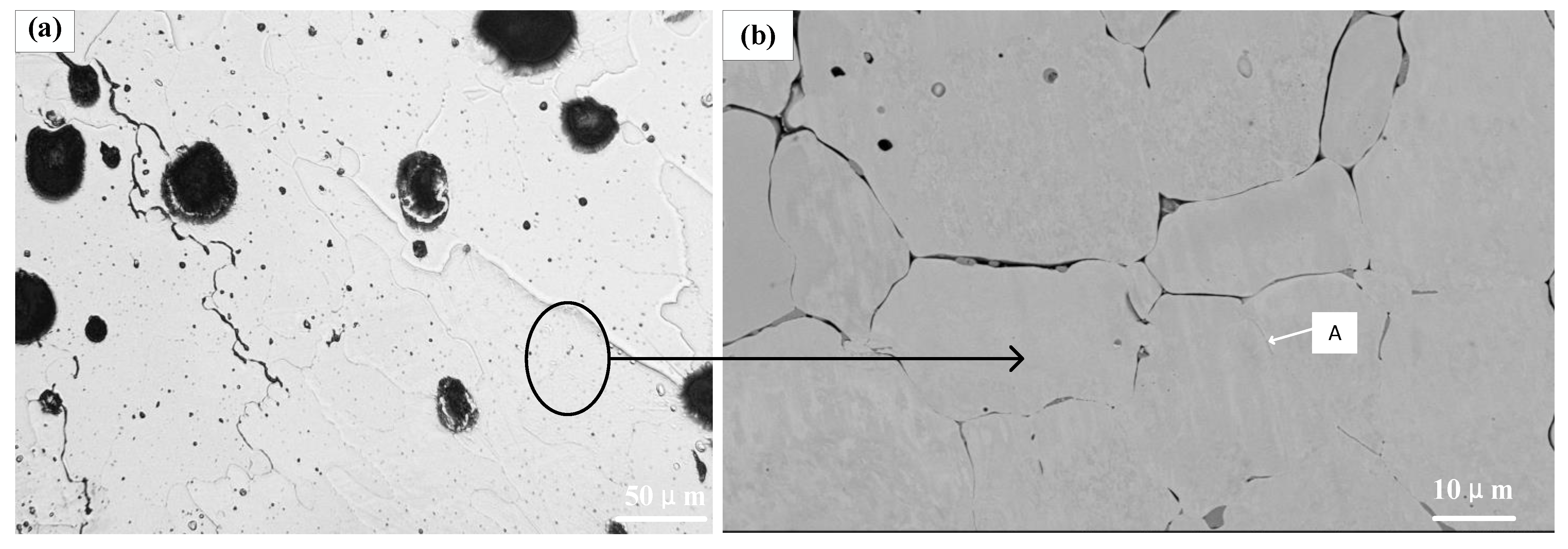 Coatings 11 01460 g005a