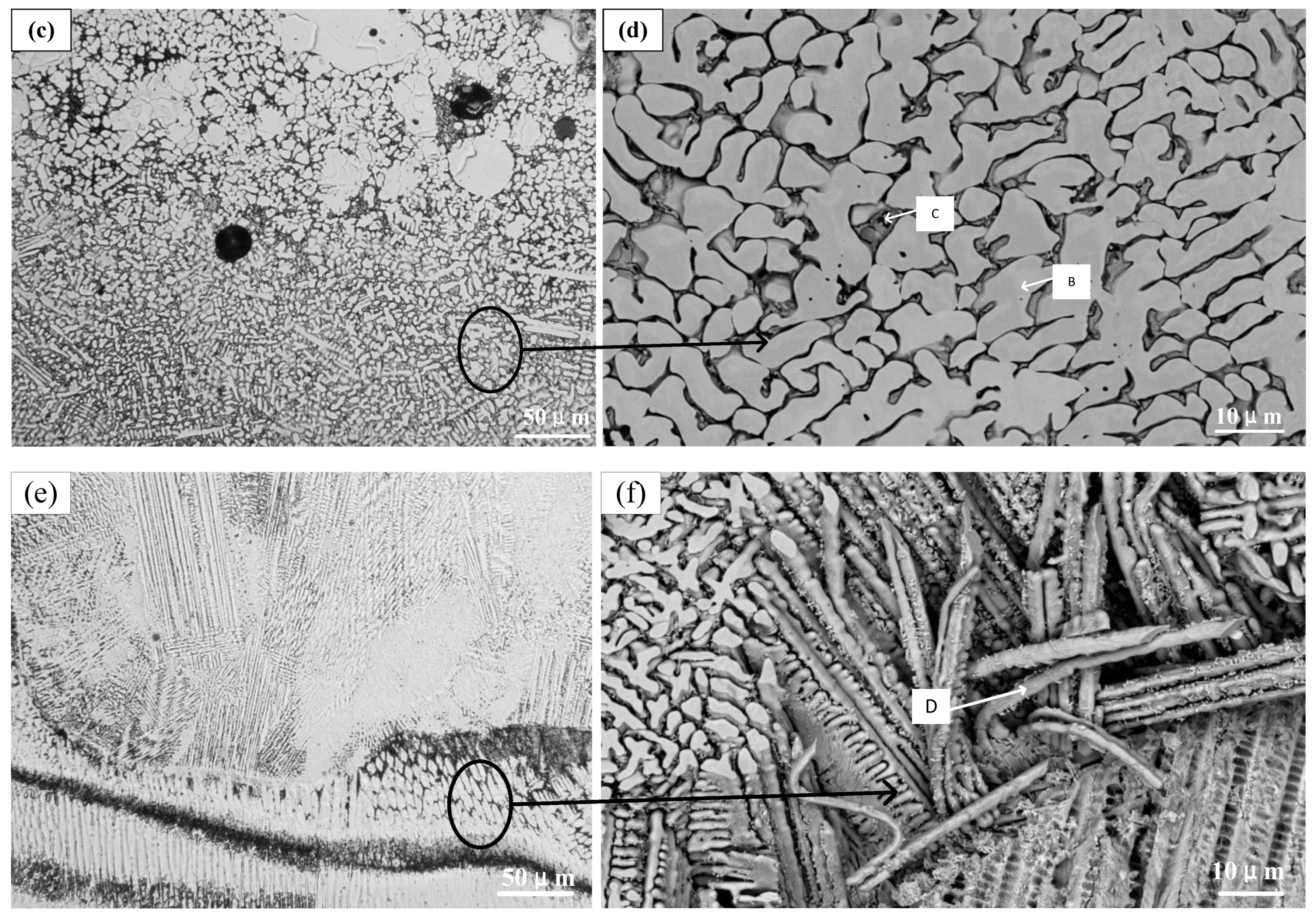 Coatings 11 01460 g005b