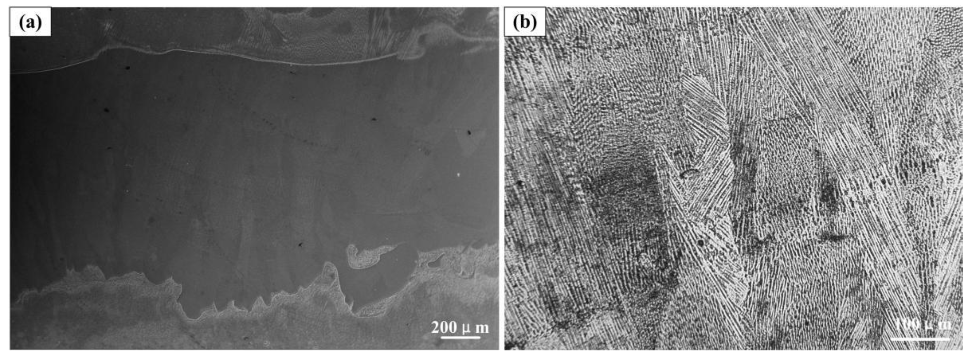 Coatings 11 01460 g006