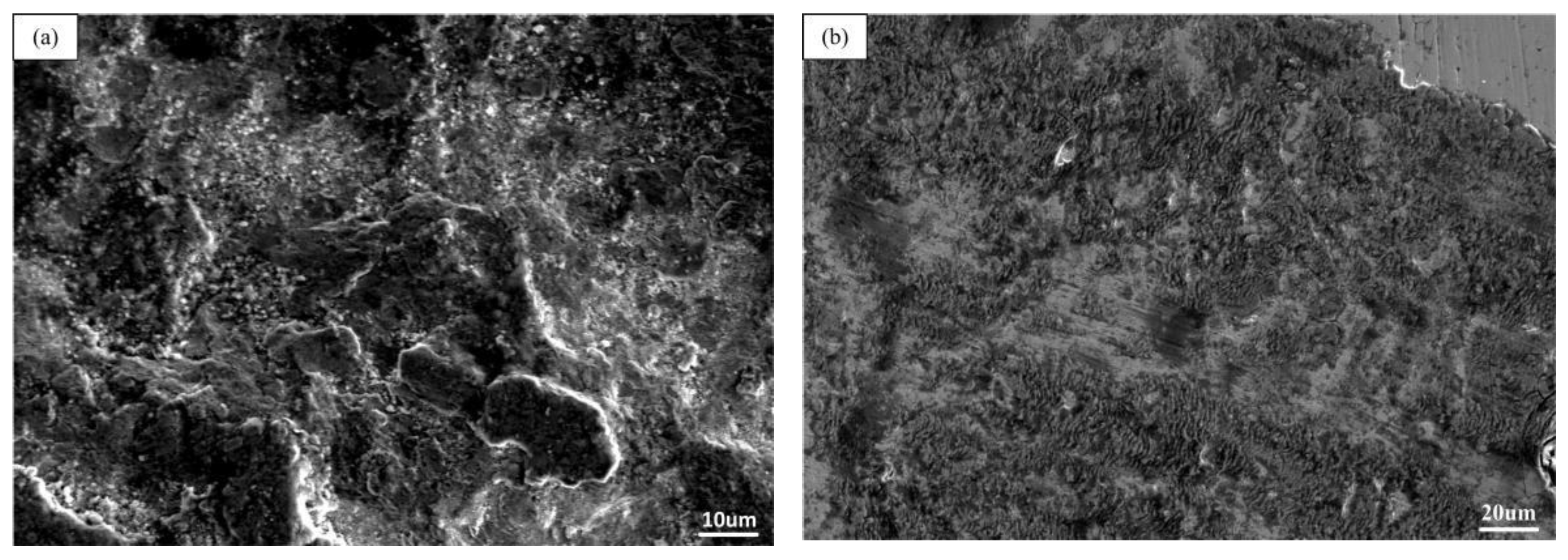 Coatings 11 01460 g009