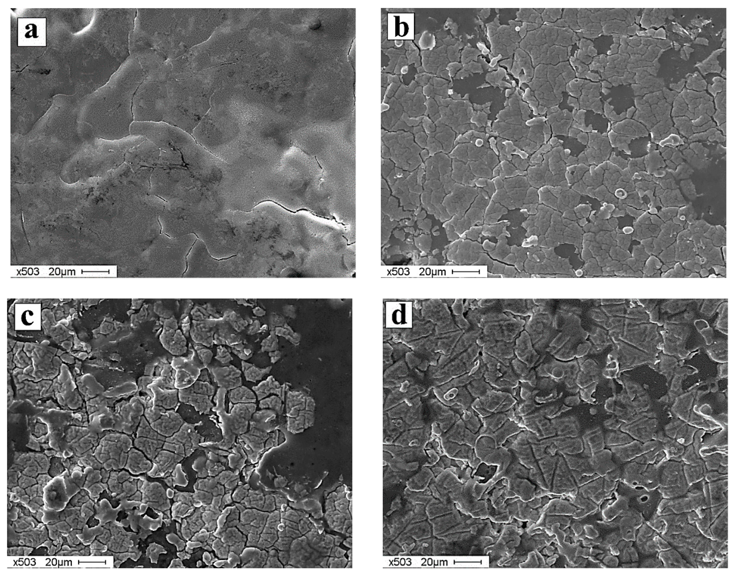 Coatings 11 01461 g002