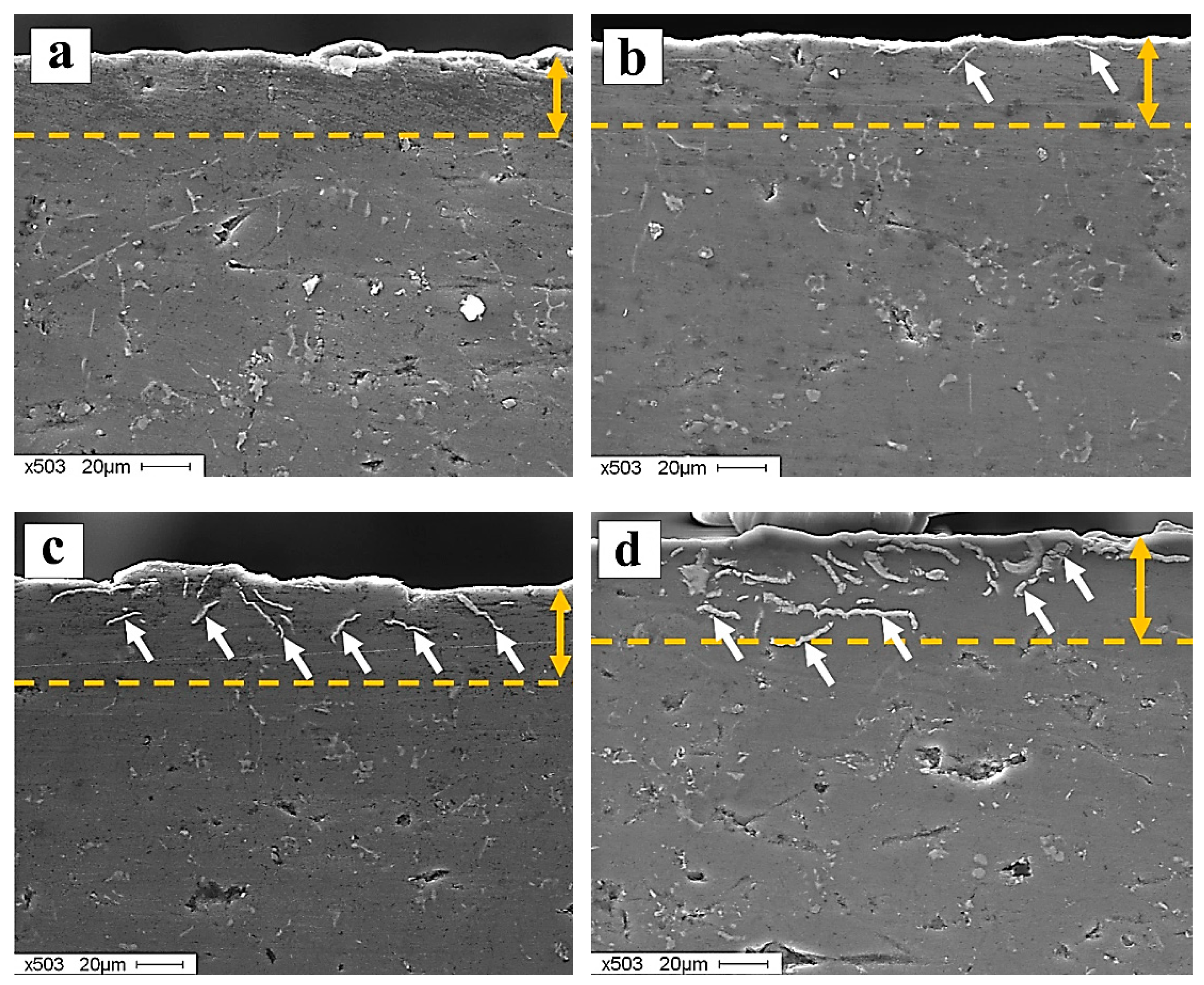 Coatings 11 01461 g003