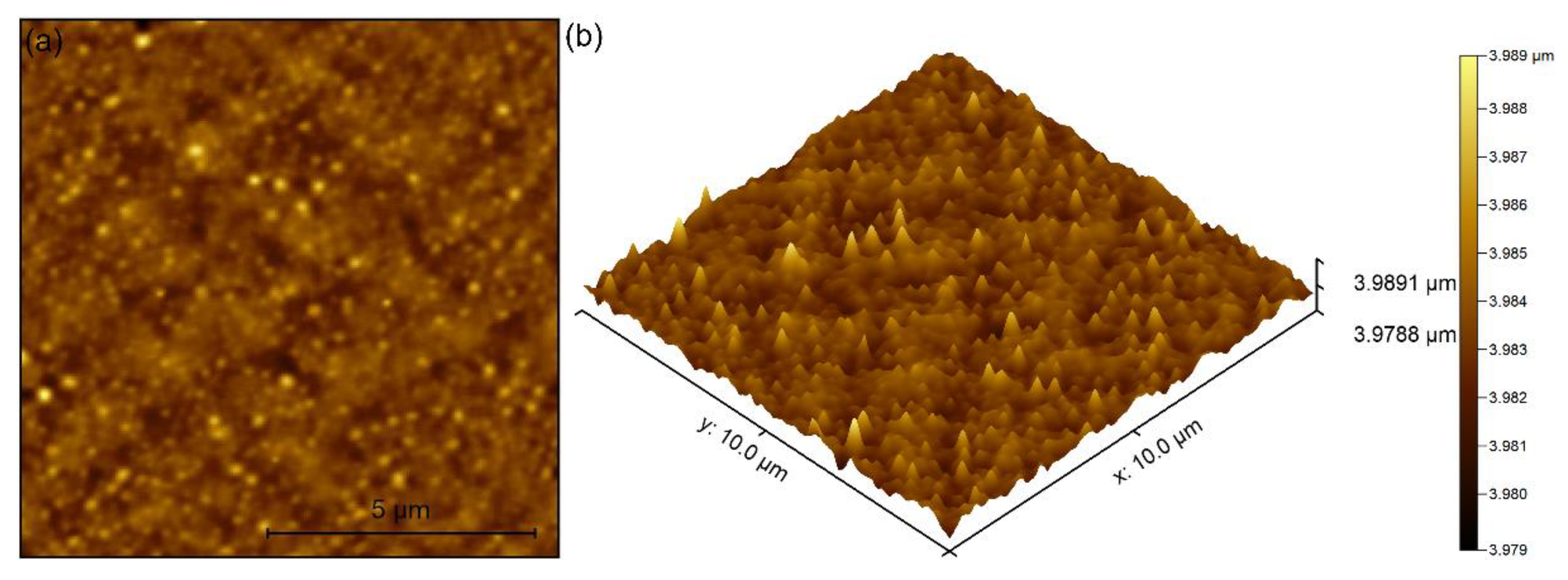 Coatings 11 01466 g007