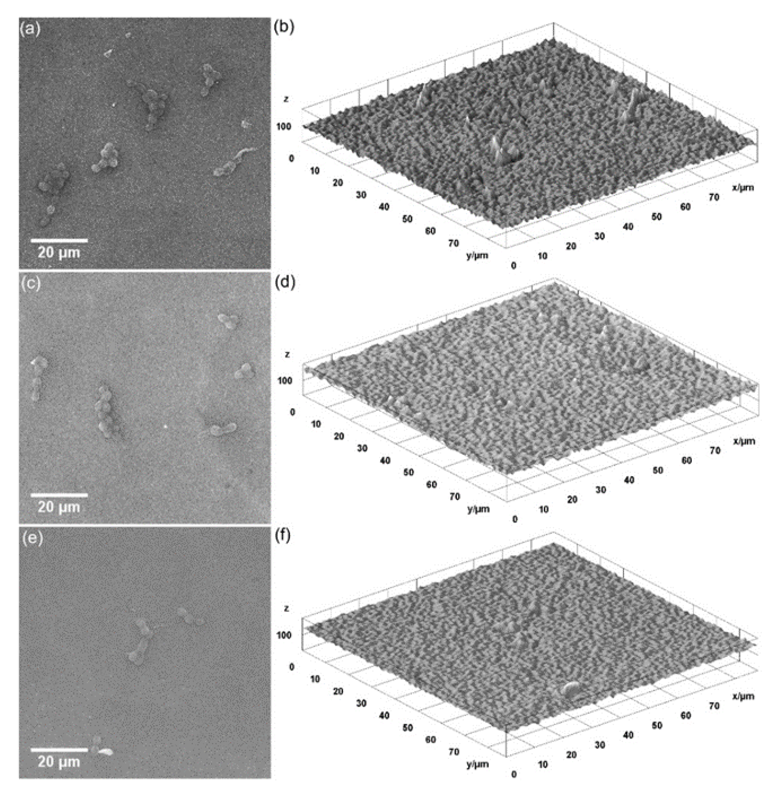 Coatings 11 01466 g012