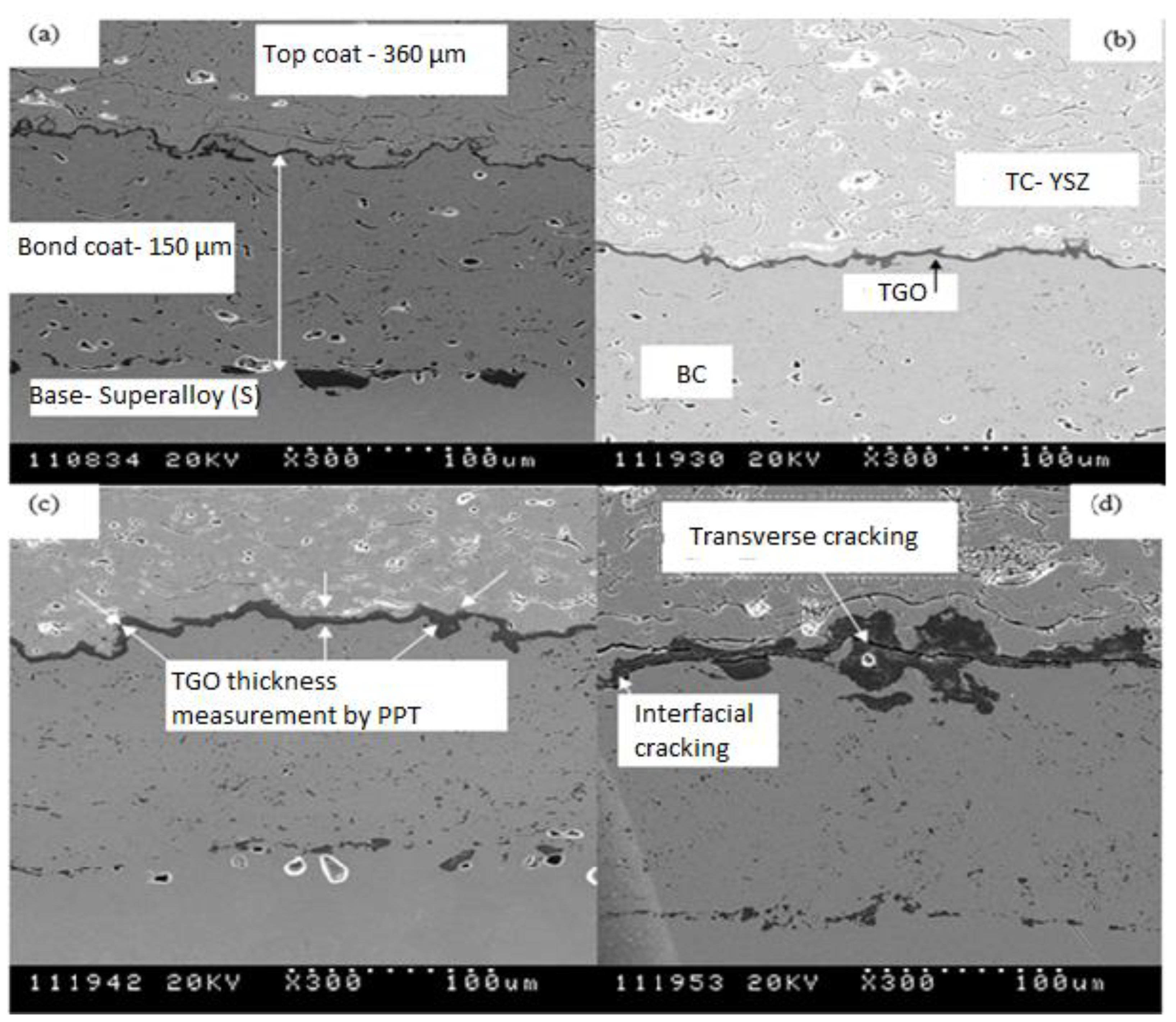 Coatings 11 01474 g002