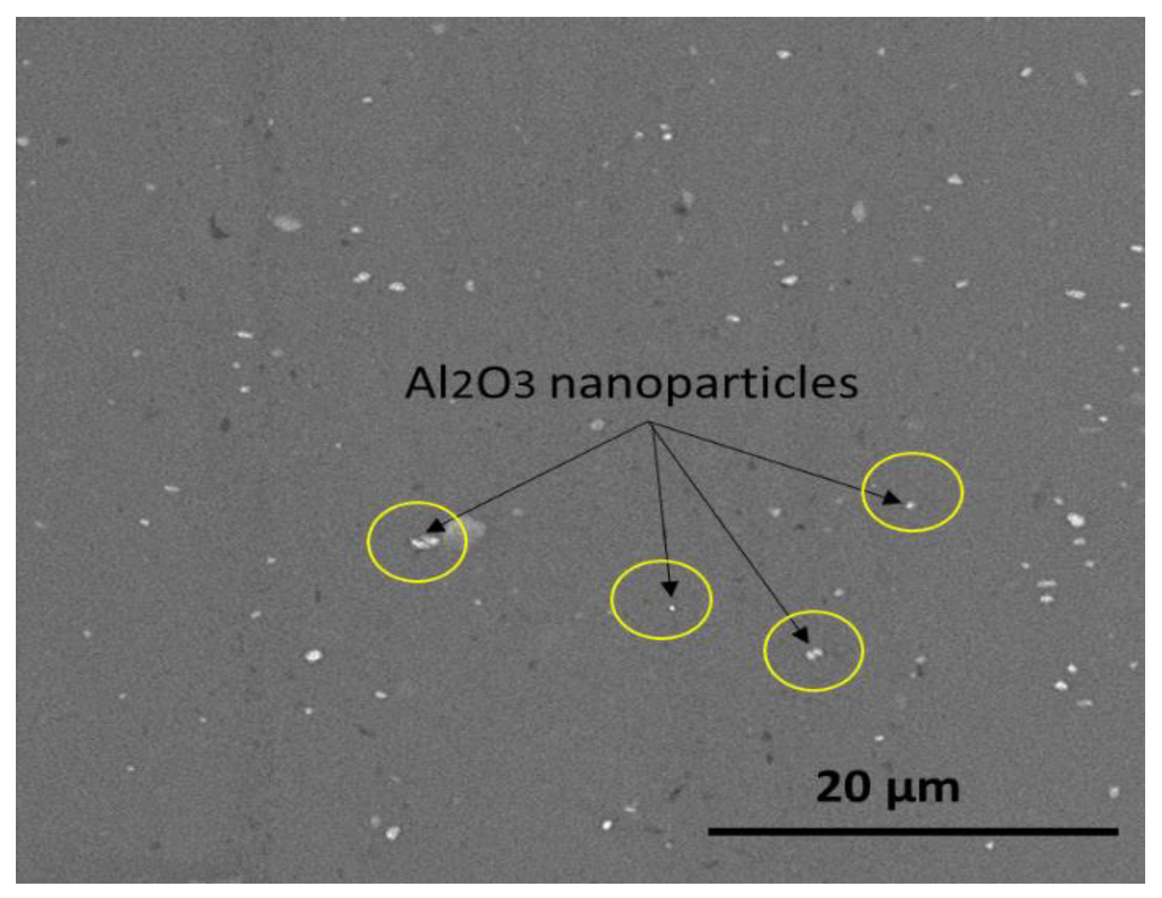 Coatings 11 01476 g007