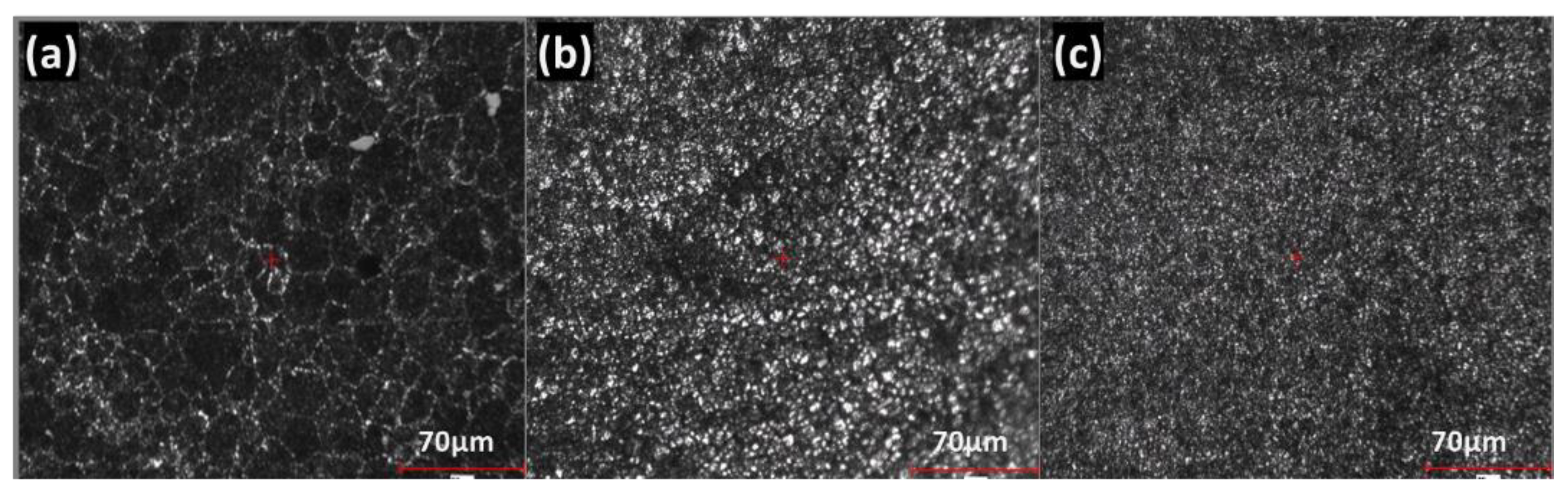 Coatings 11 01476 g009