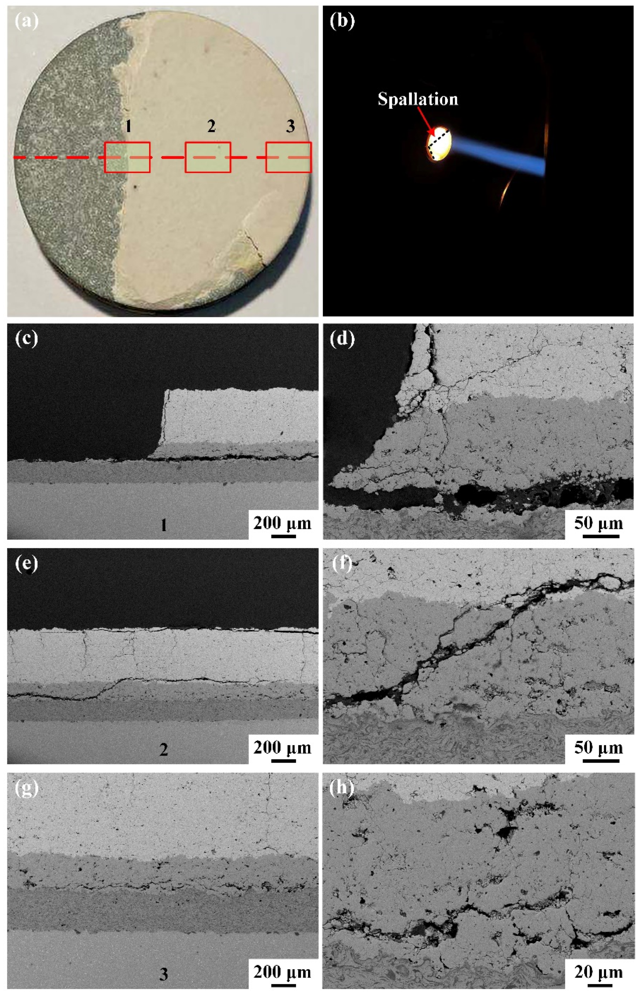 Coatings 11 01477 g006