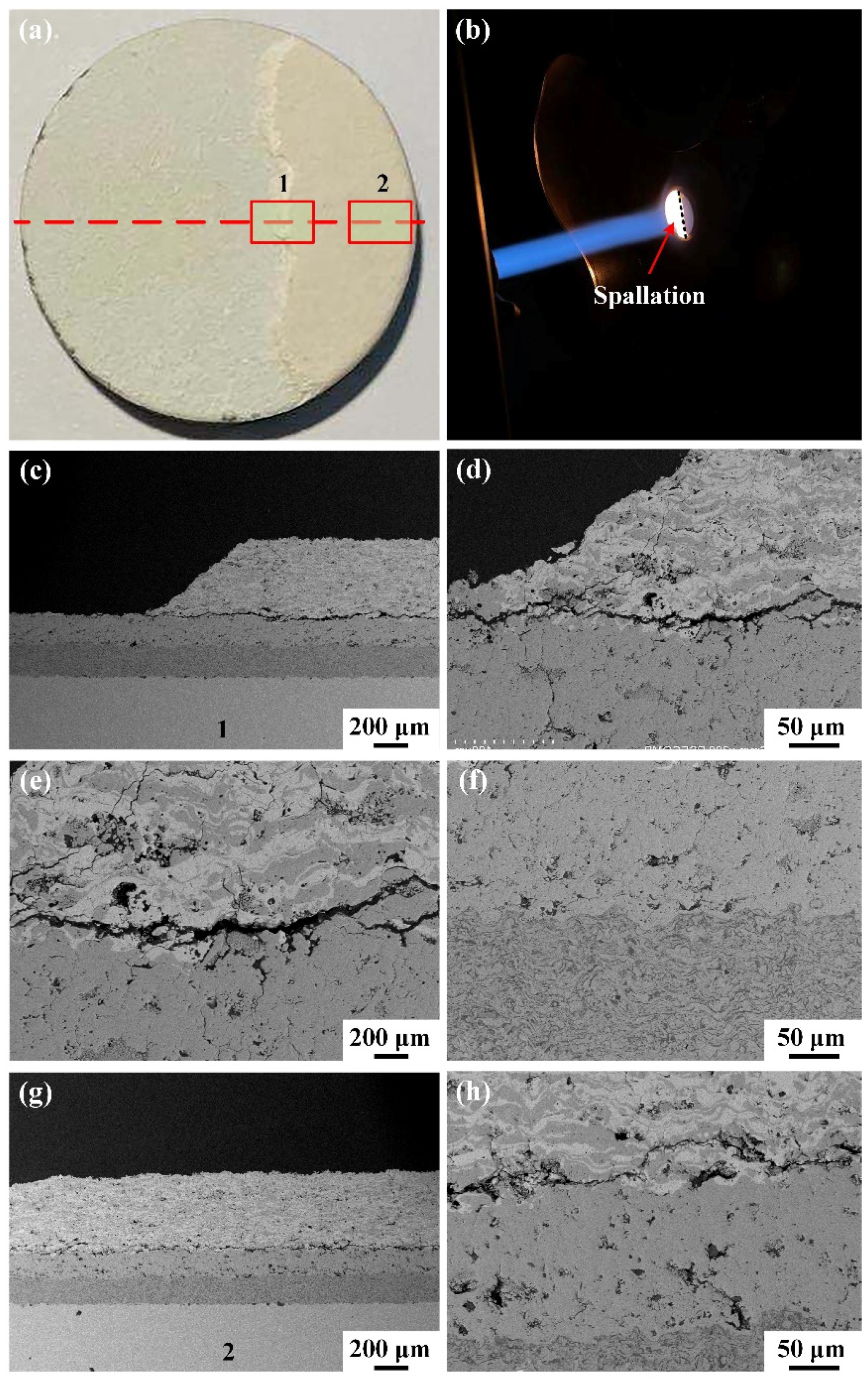 Coatings 11 01477 g007
