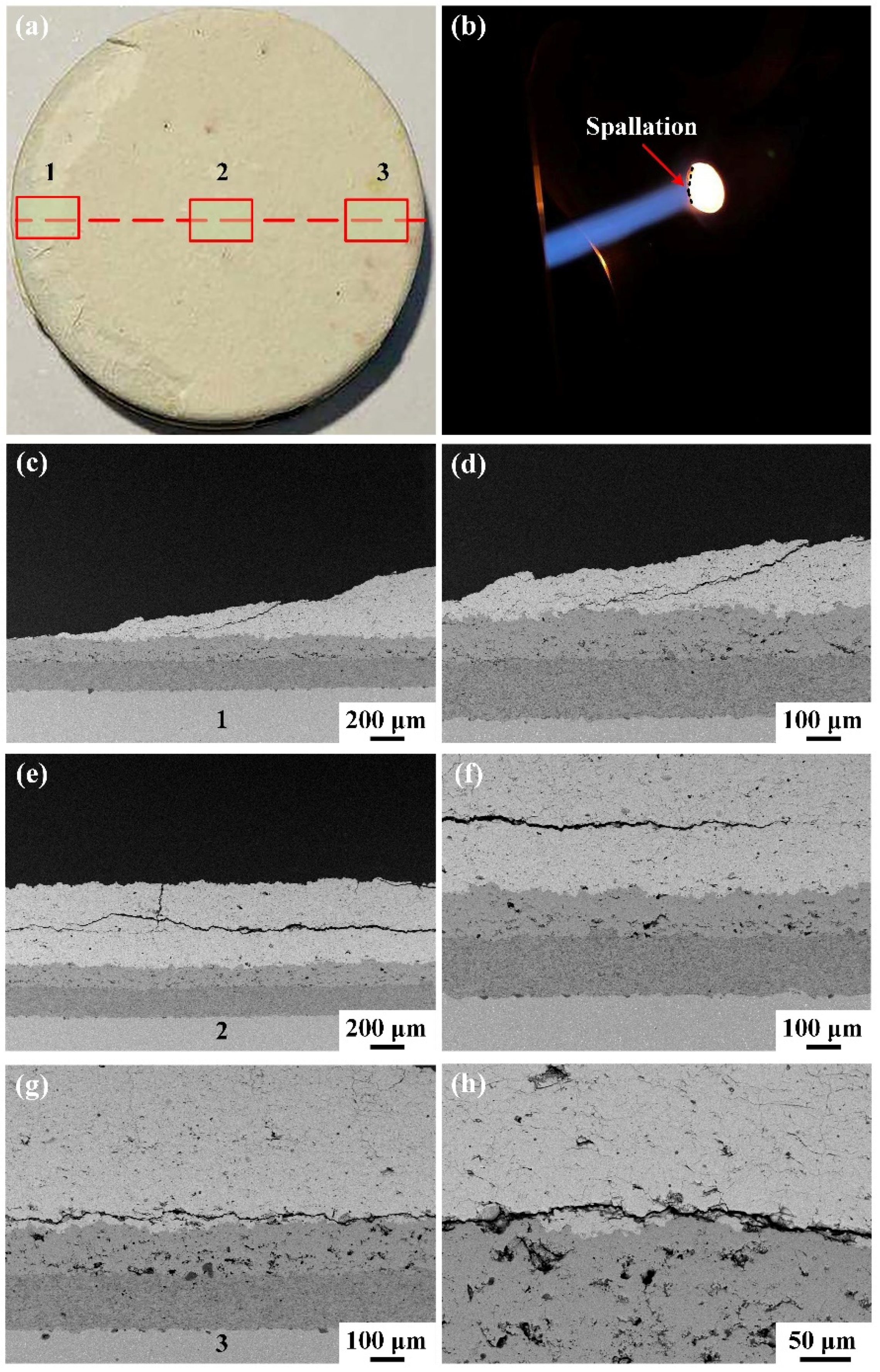 Coatings 11 01477 g008