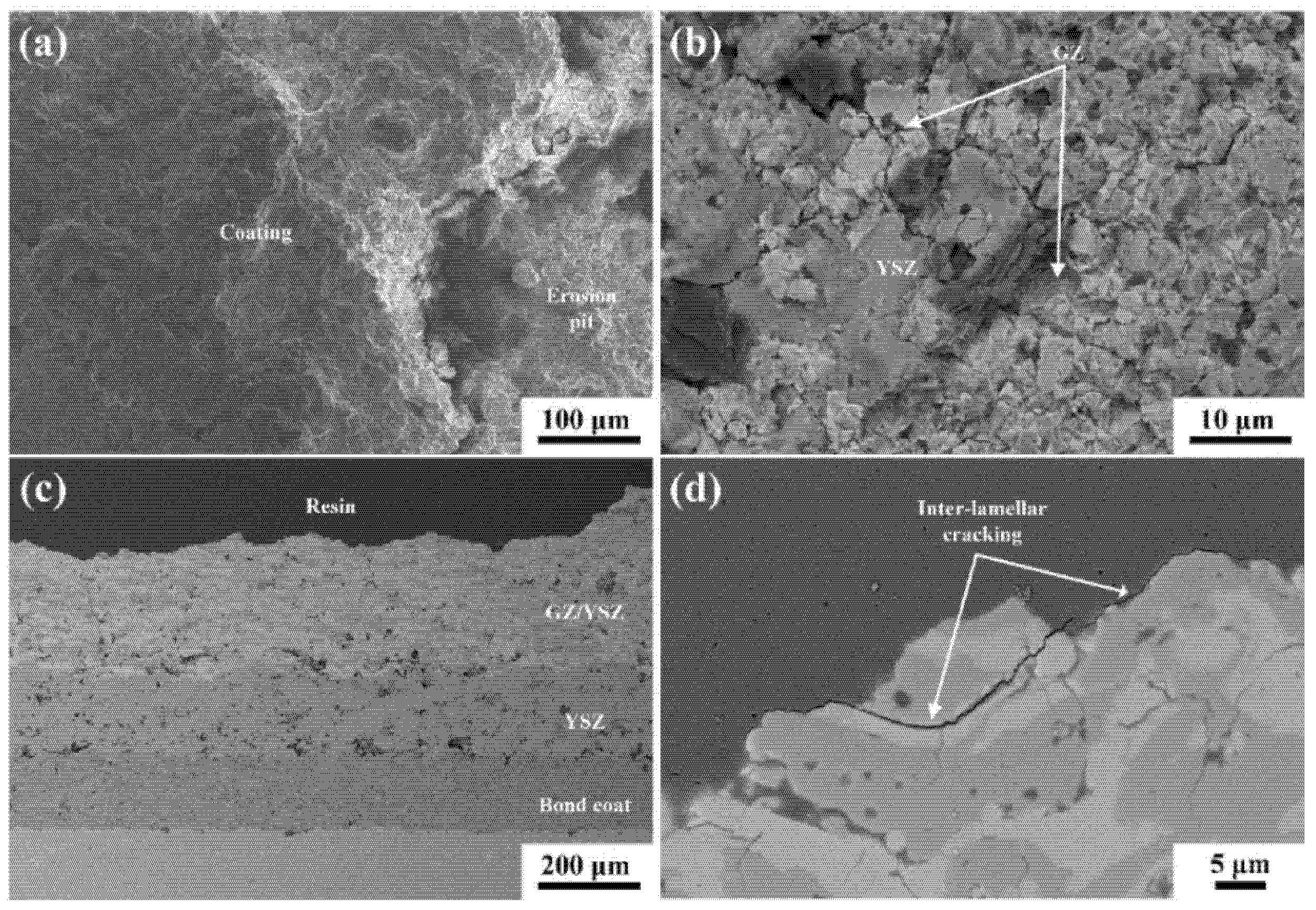 Coatings 11 01477 g011
