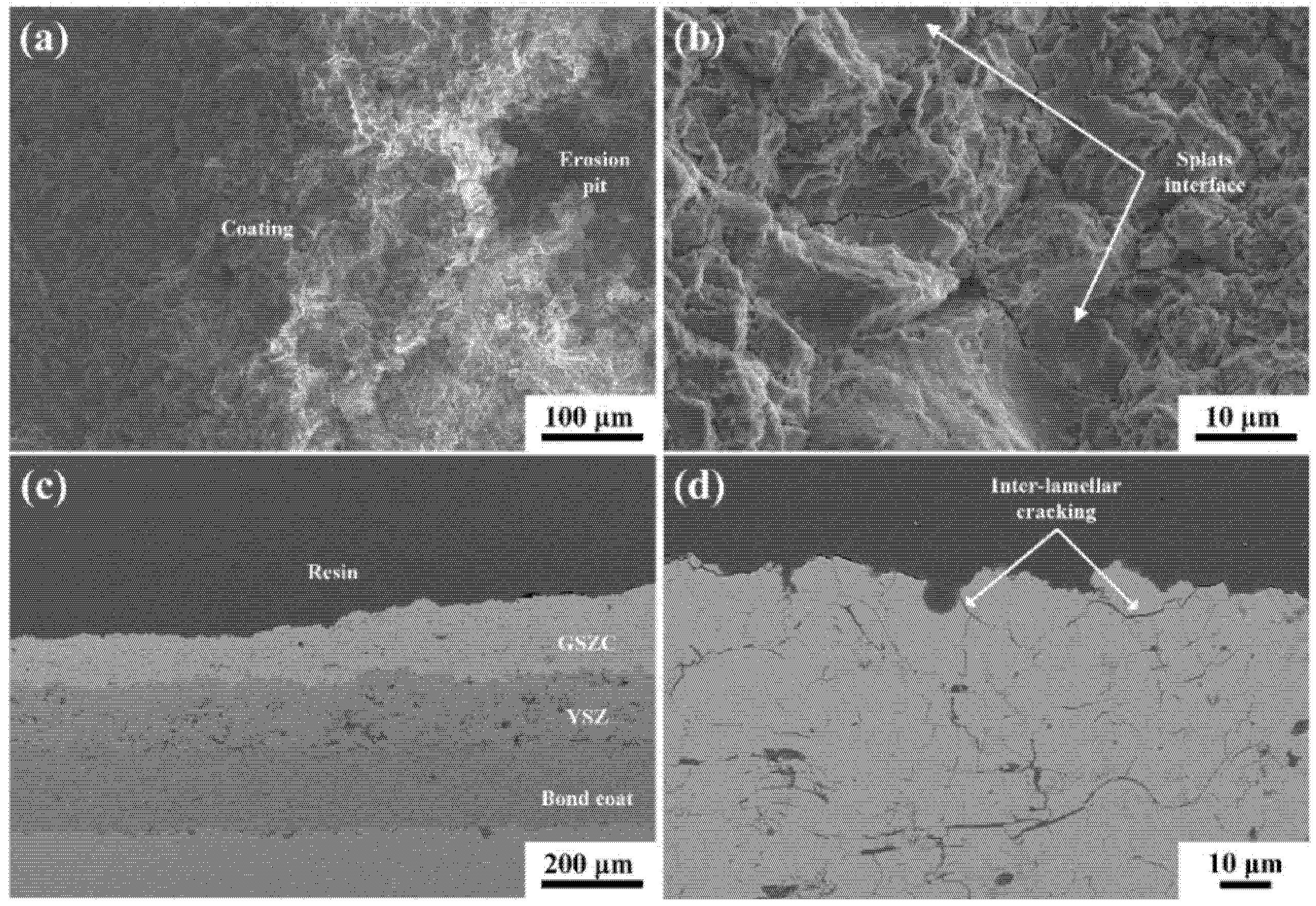 Coatings 11 01477 g012