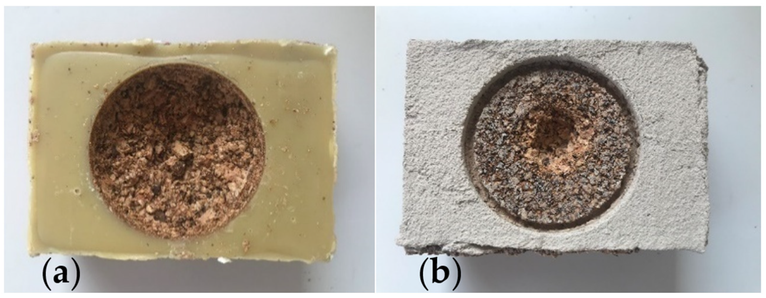 Coatings 11 01478 g012