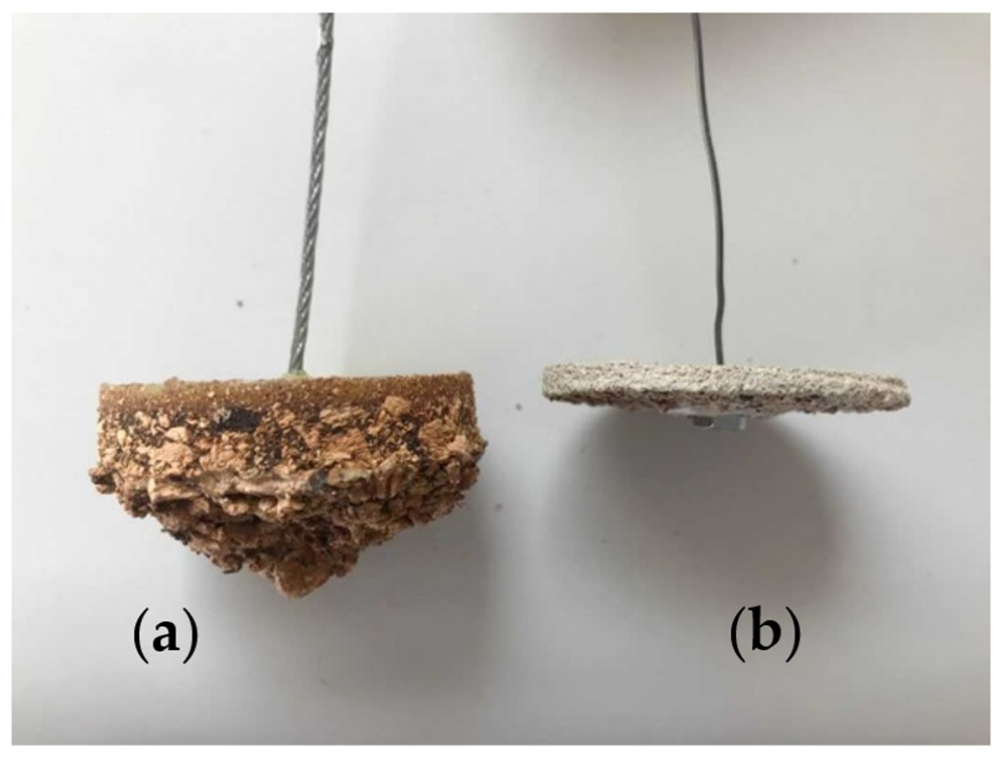 Coatings 11 01478 g014