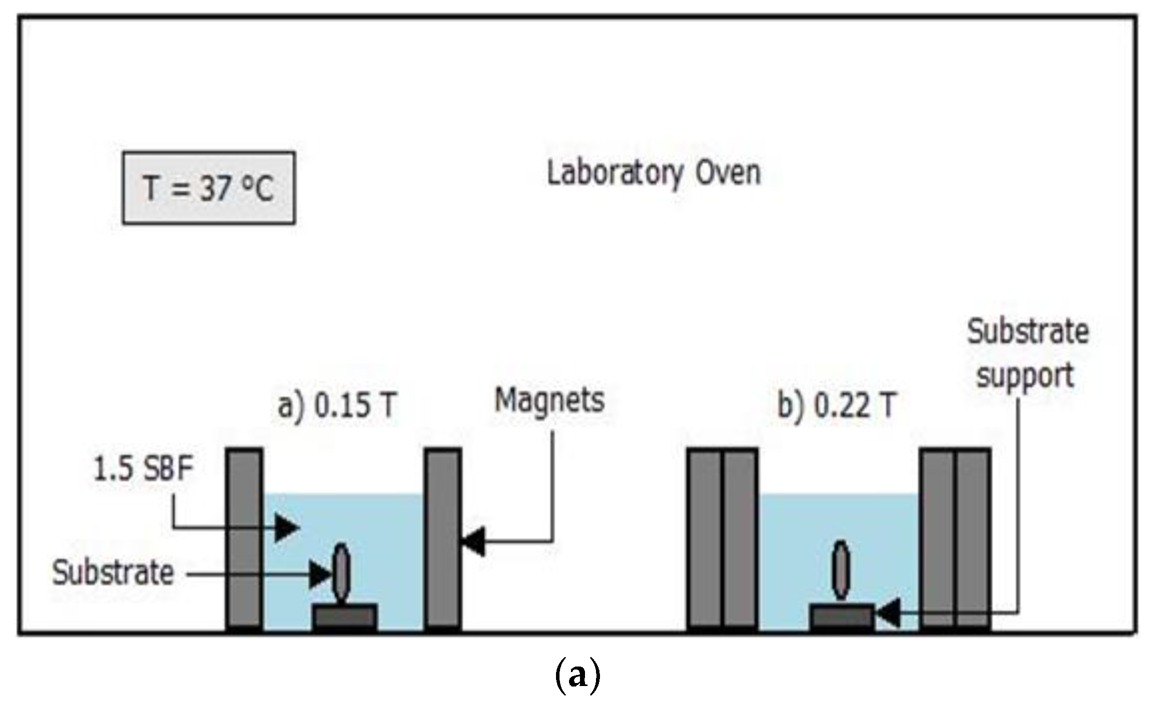 Coatings 11 01484 g001a