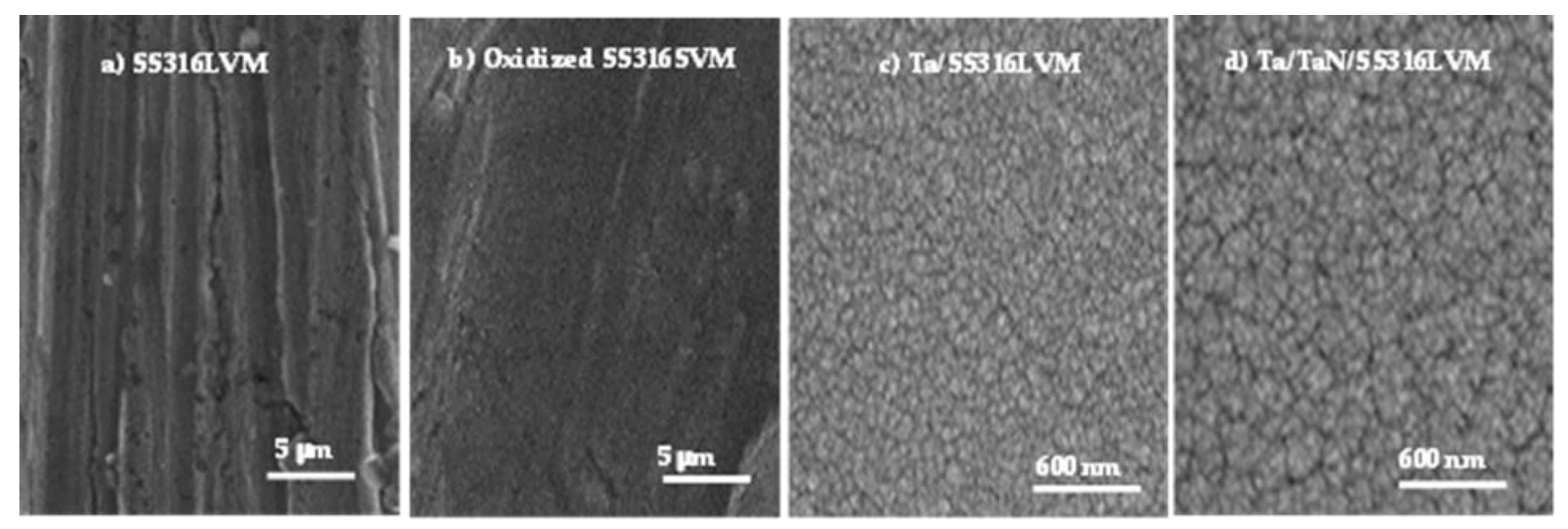 Coatings 11 01484 g003