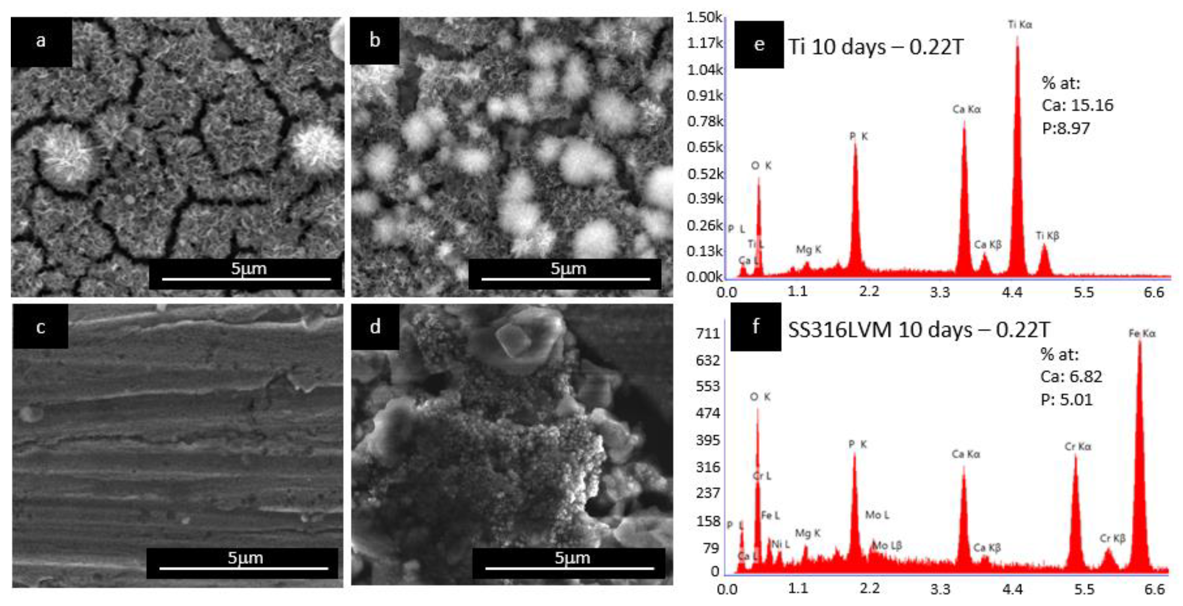 Coatings 11 01484 g004