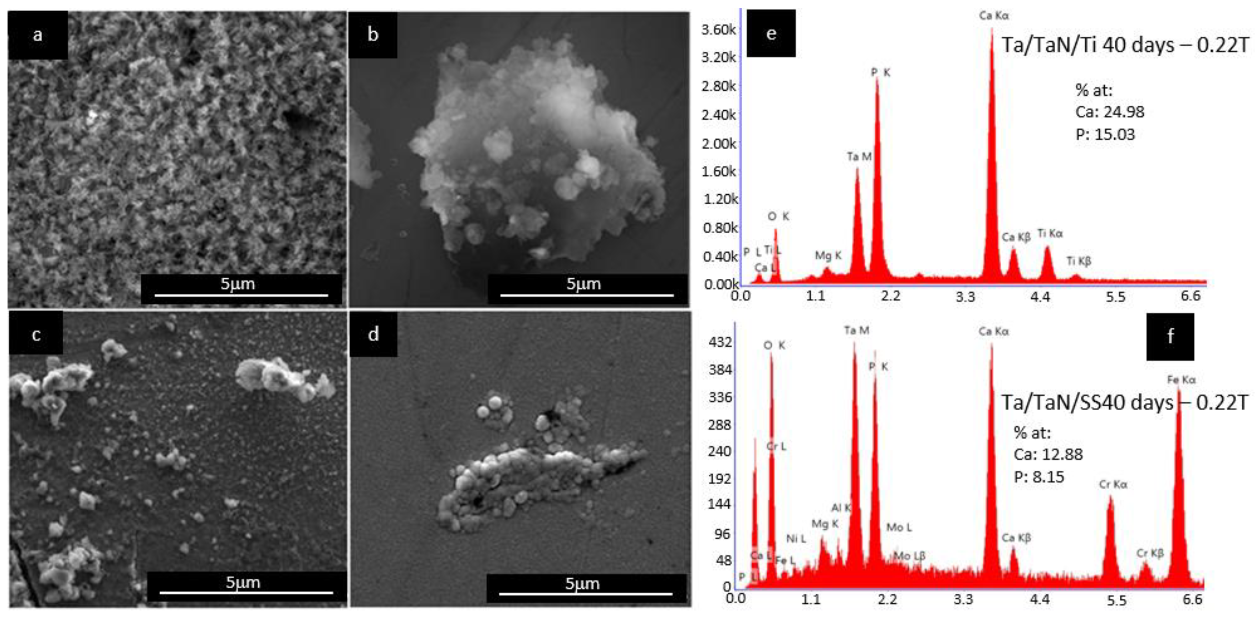 Coatings 11 01484 g007