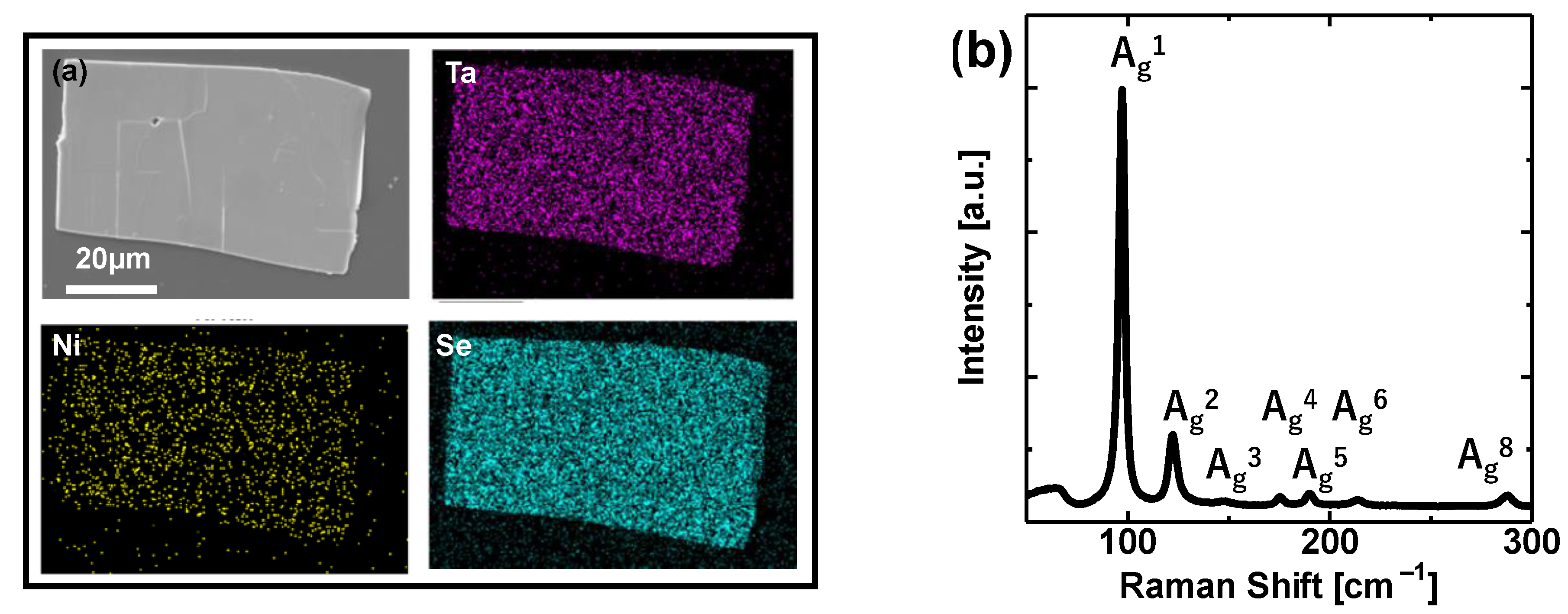 Coatings 11 01485 g002