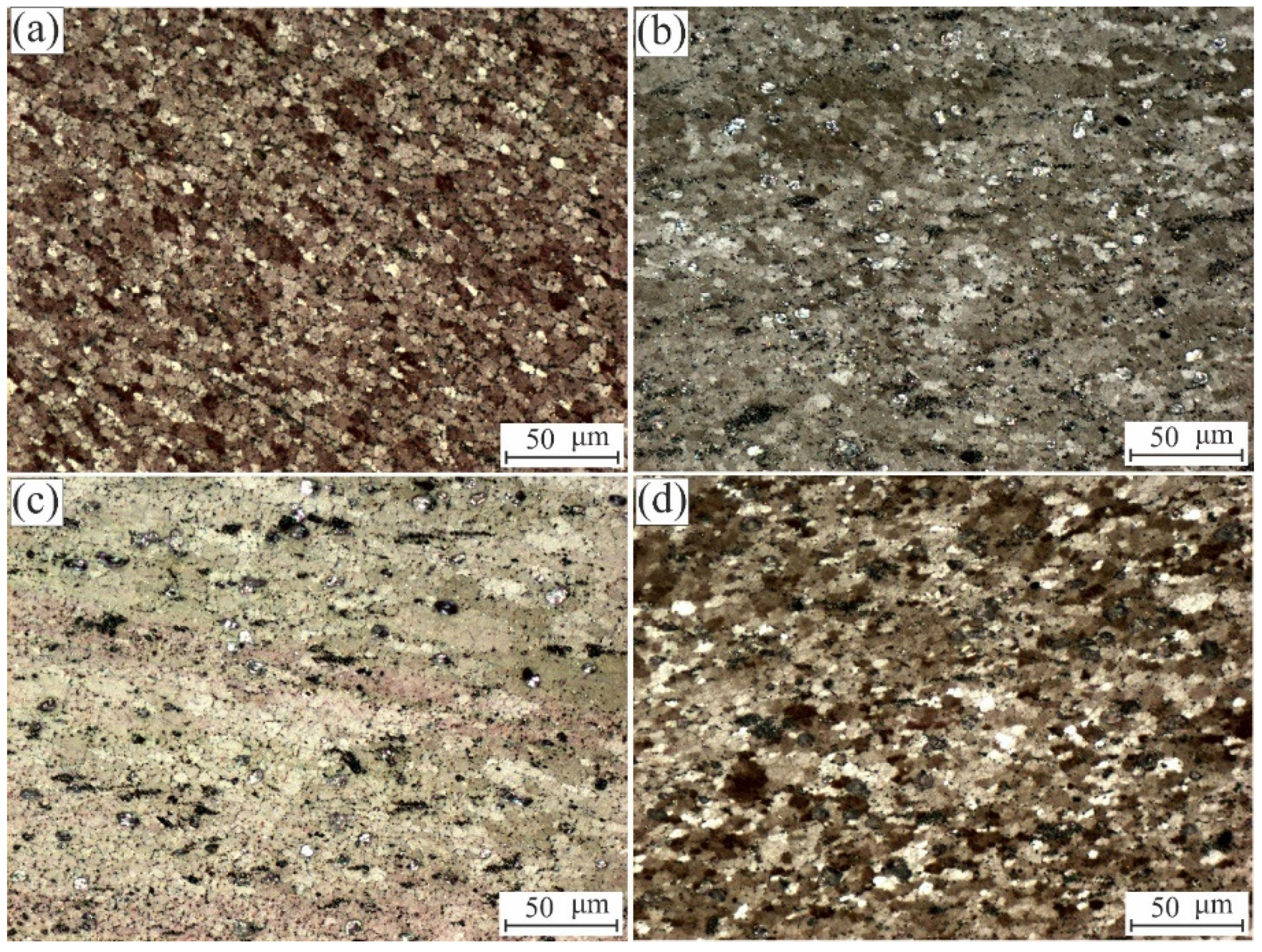 Coatings 11 01496 g005