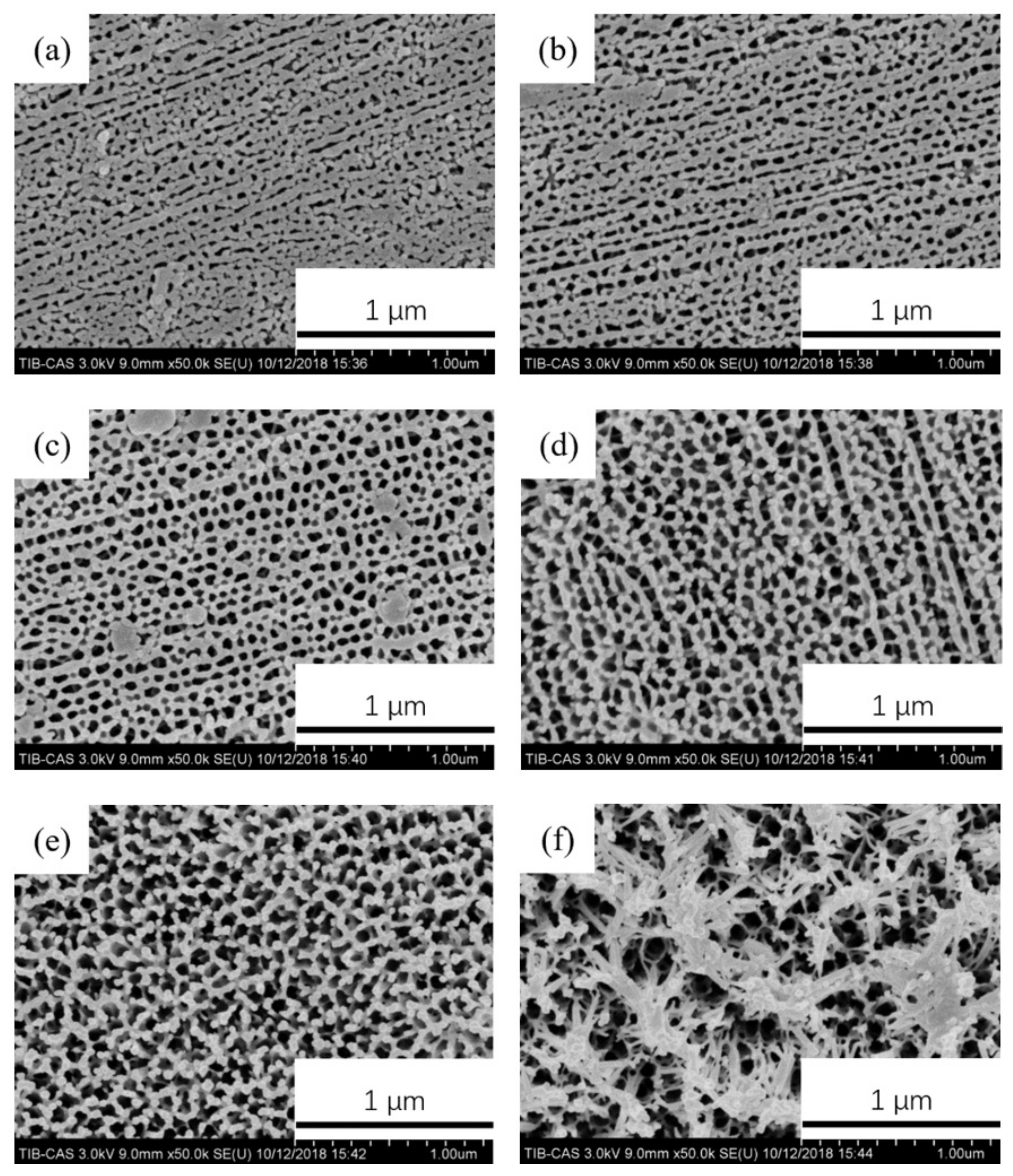 Coatings 11 01498 g002