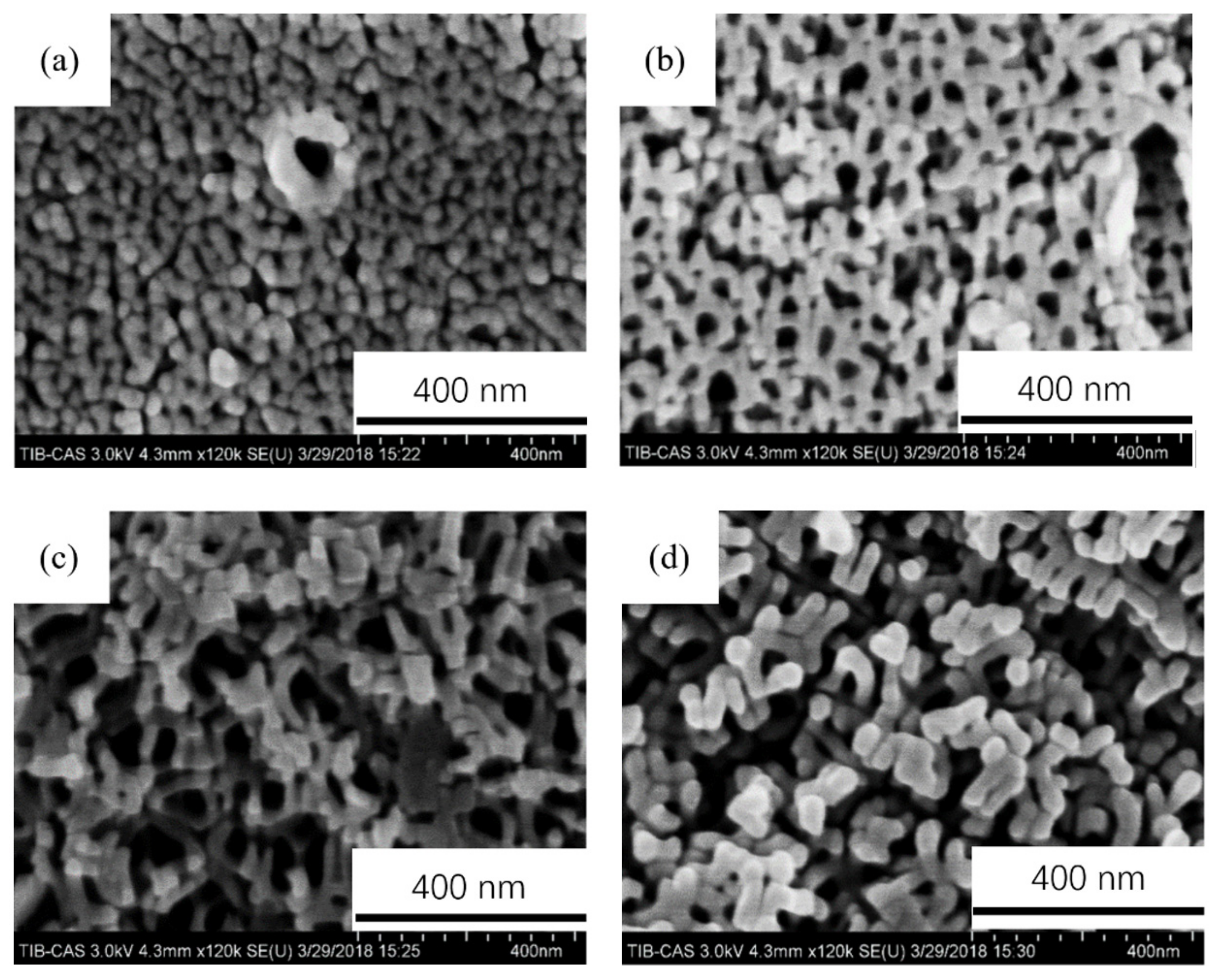 Coatings 11 01498 g003