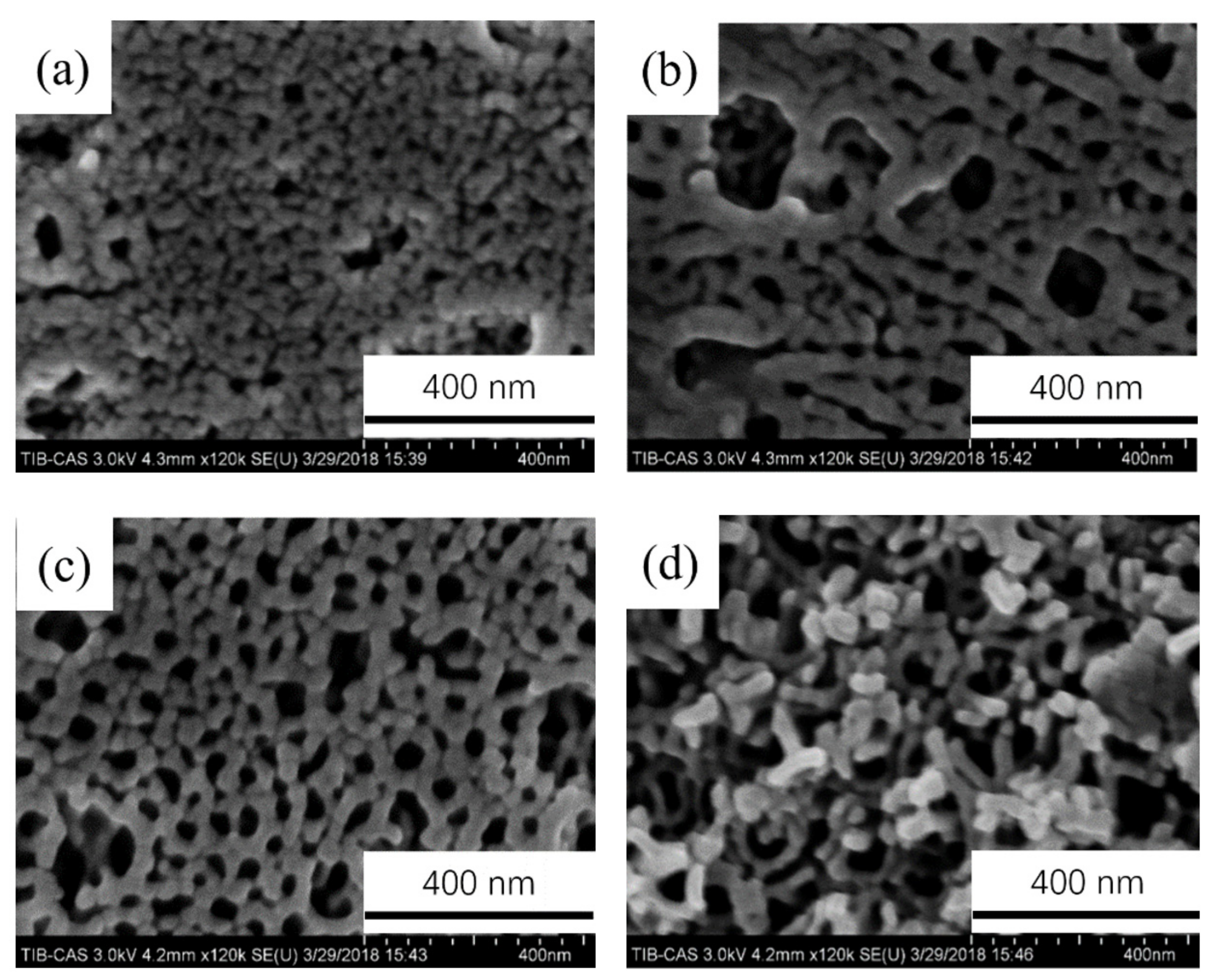Coatings 11 01498 g004