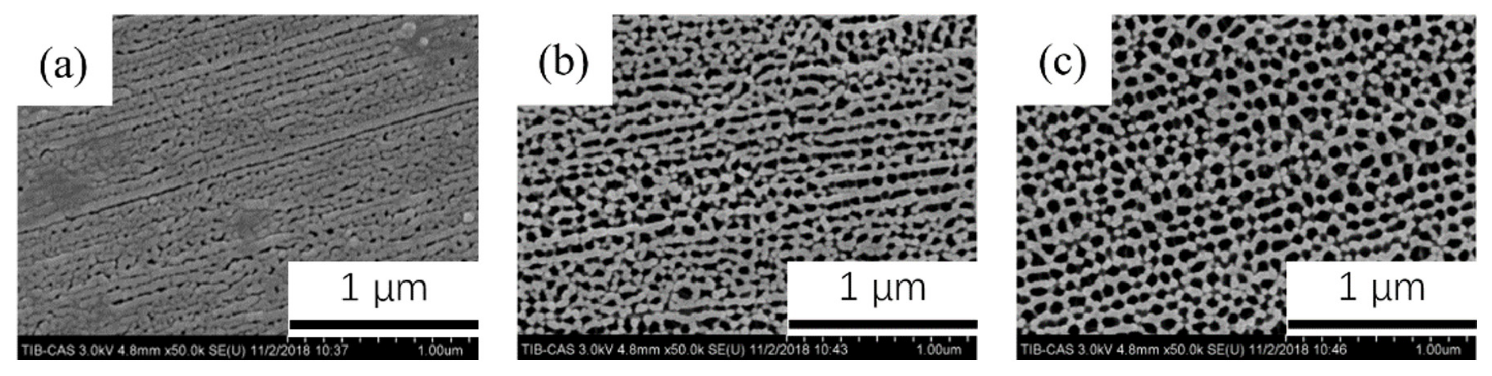 Coatings 11 01498 g005